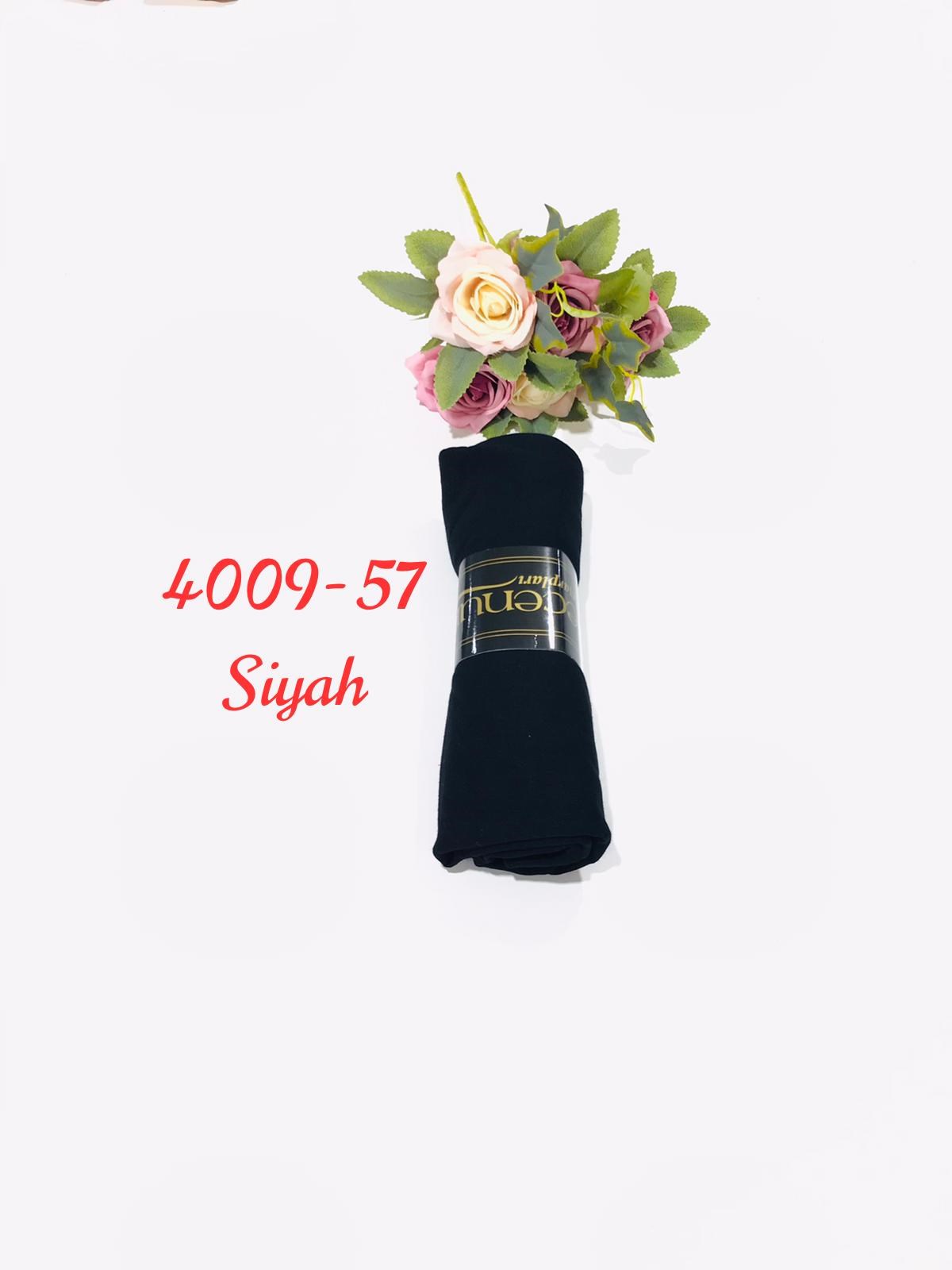 4009 Penye ŞAL