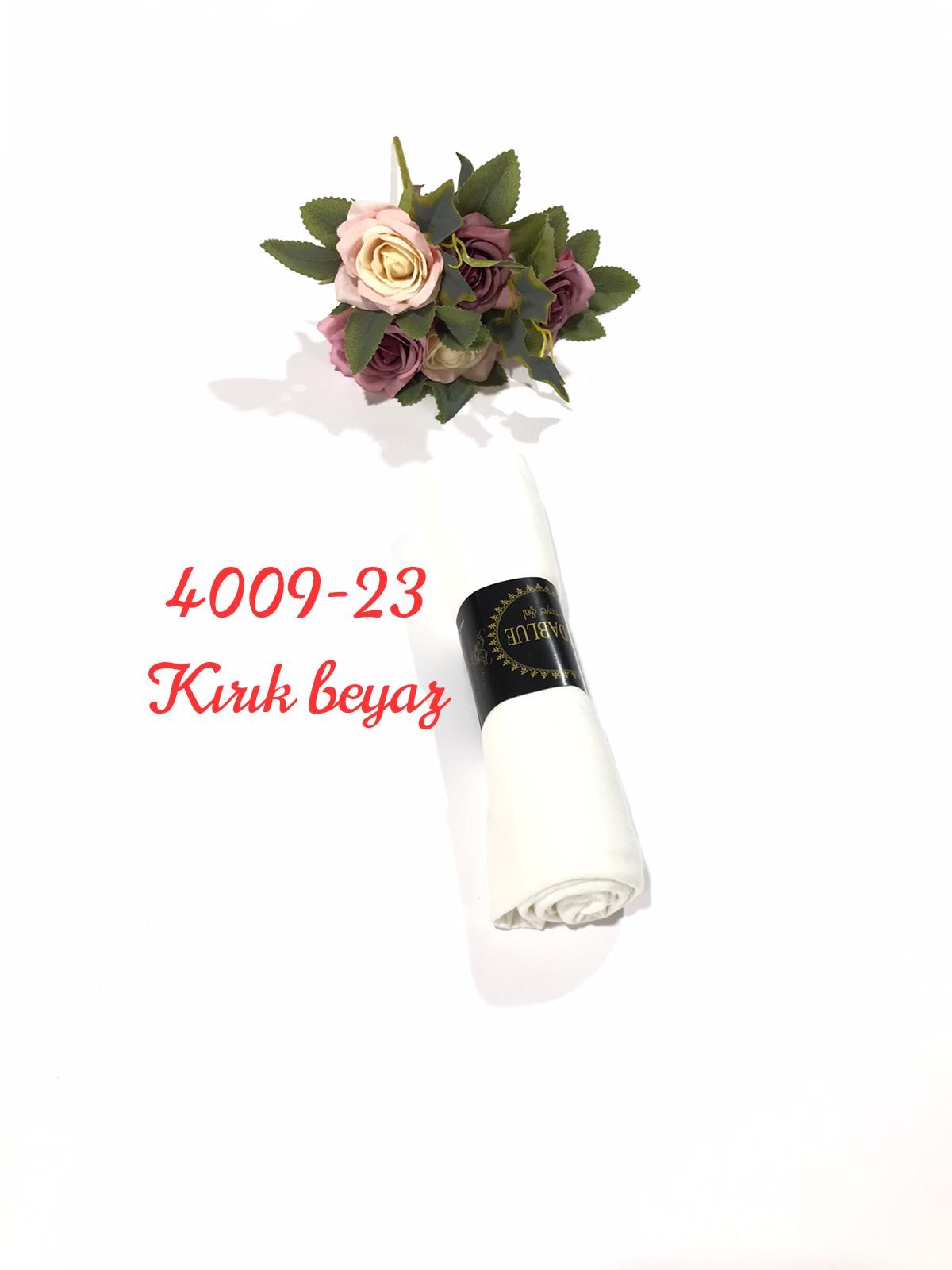 4009 Penye ŞAL