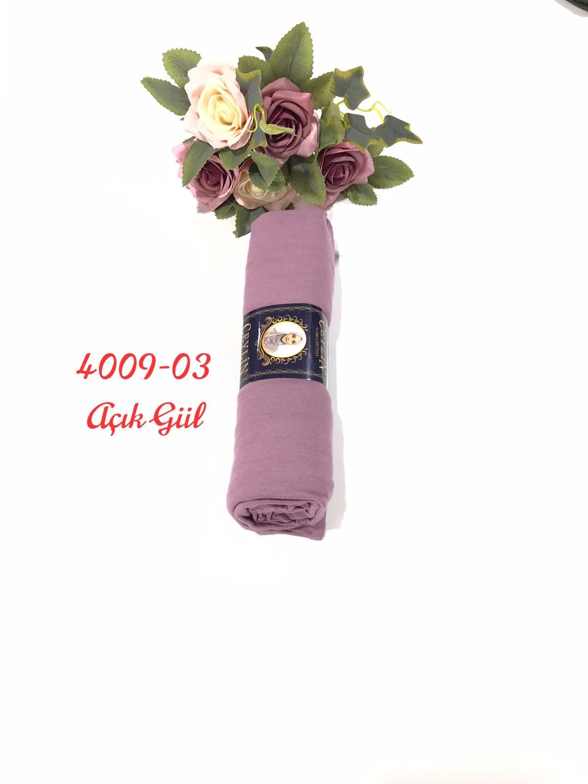 4009 Penye ŞAL