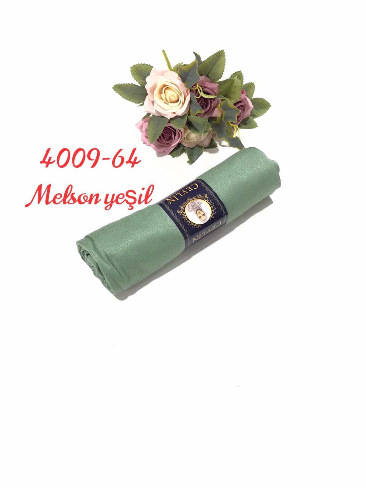 4009 Penye ŞAL