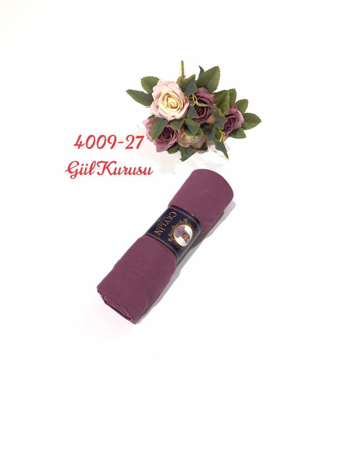 4009 Penye ŞAL