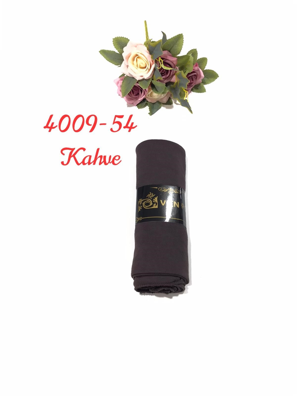 4009 Penye ŞAL