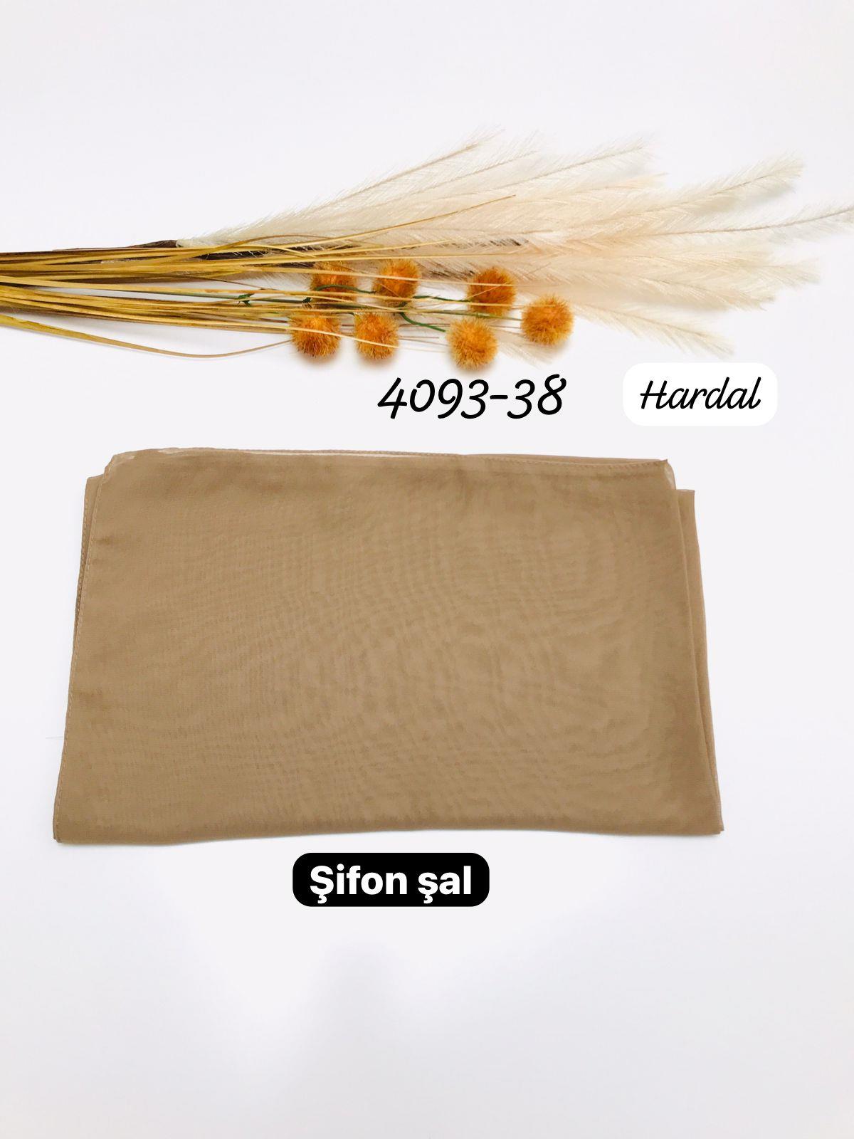 4093 Şifon Şal