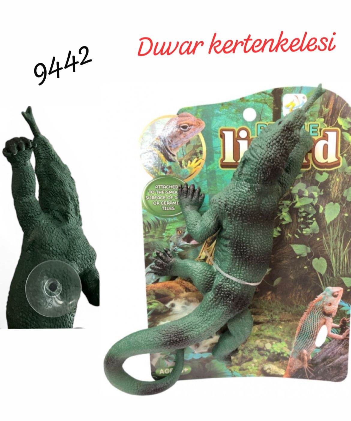 Oyuncak Duvar Kertenkelesi