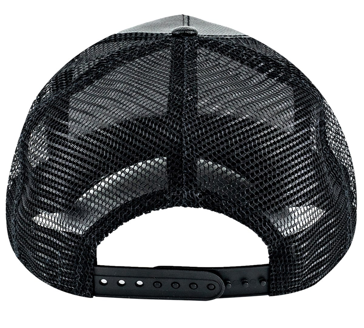 Black Horse101-0624