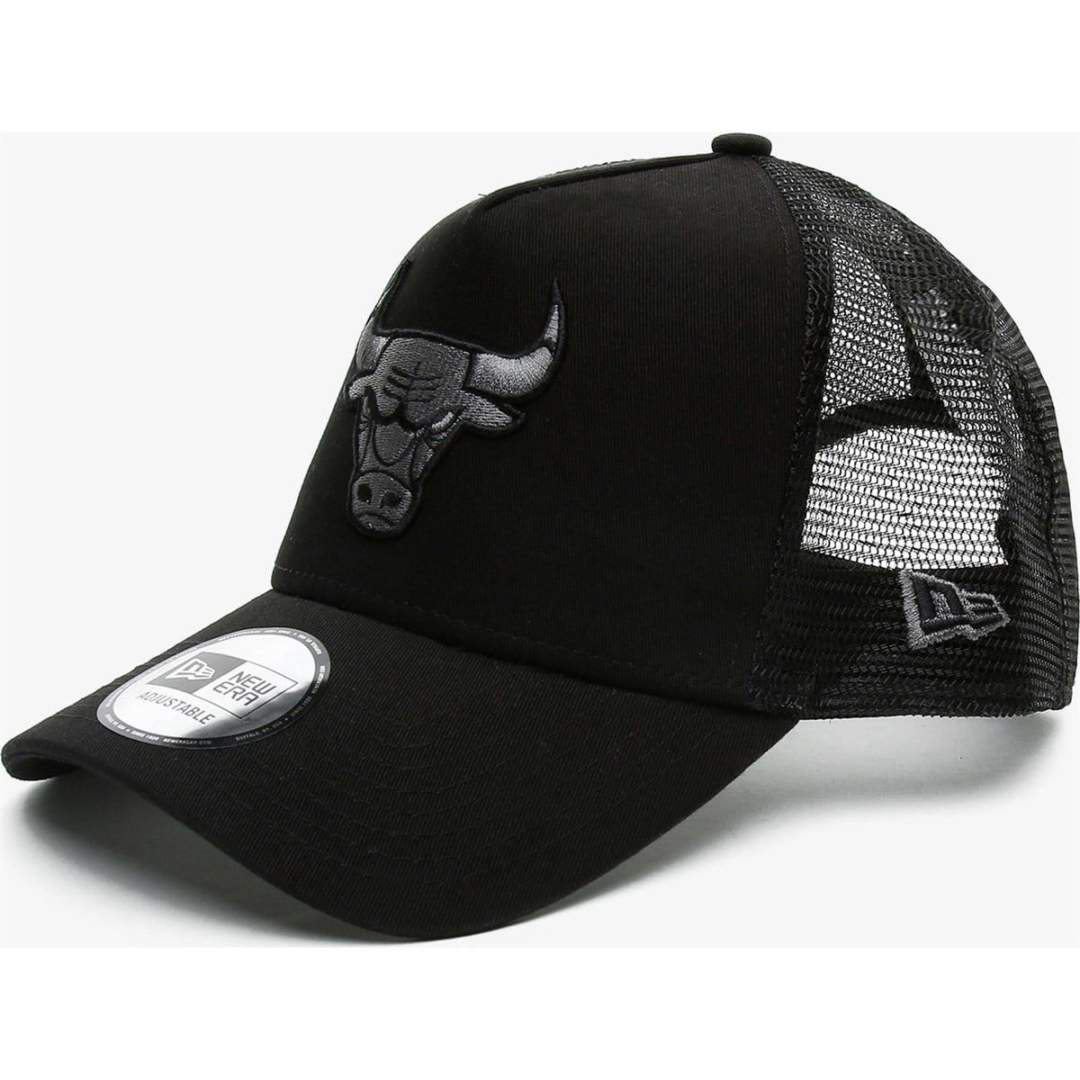 Chicago Bulls 12523913