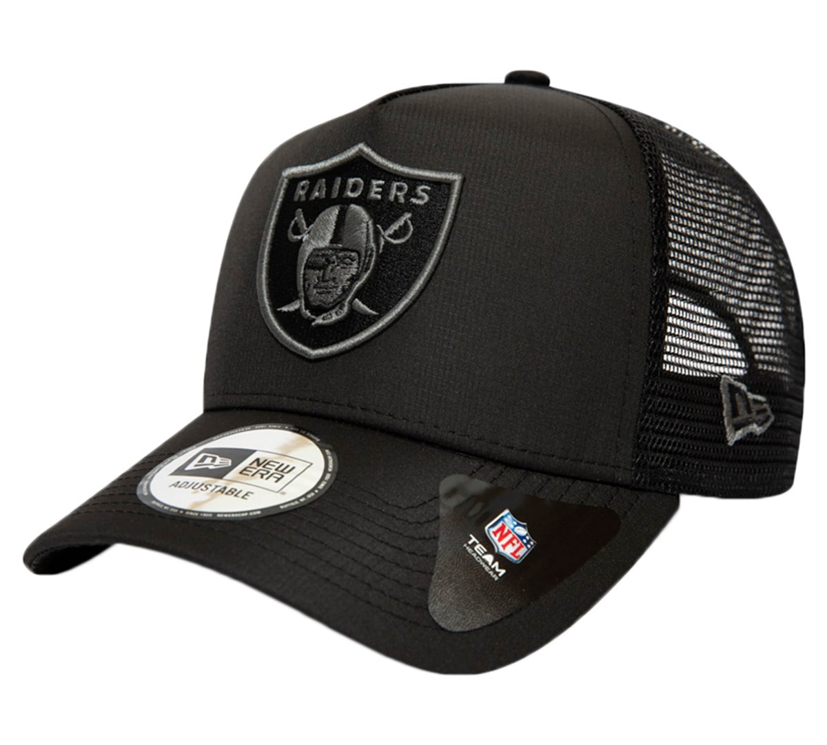 Raiders 12285233