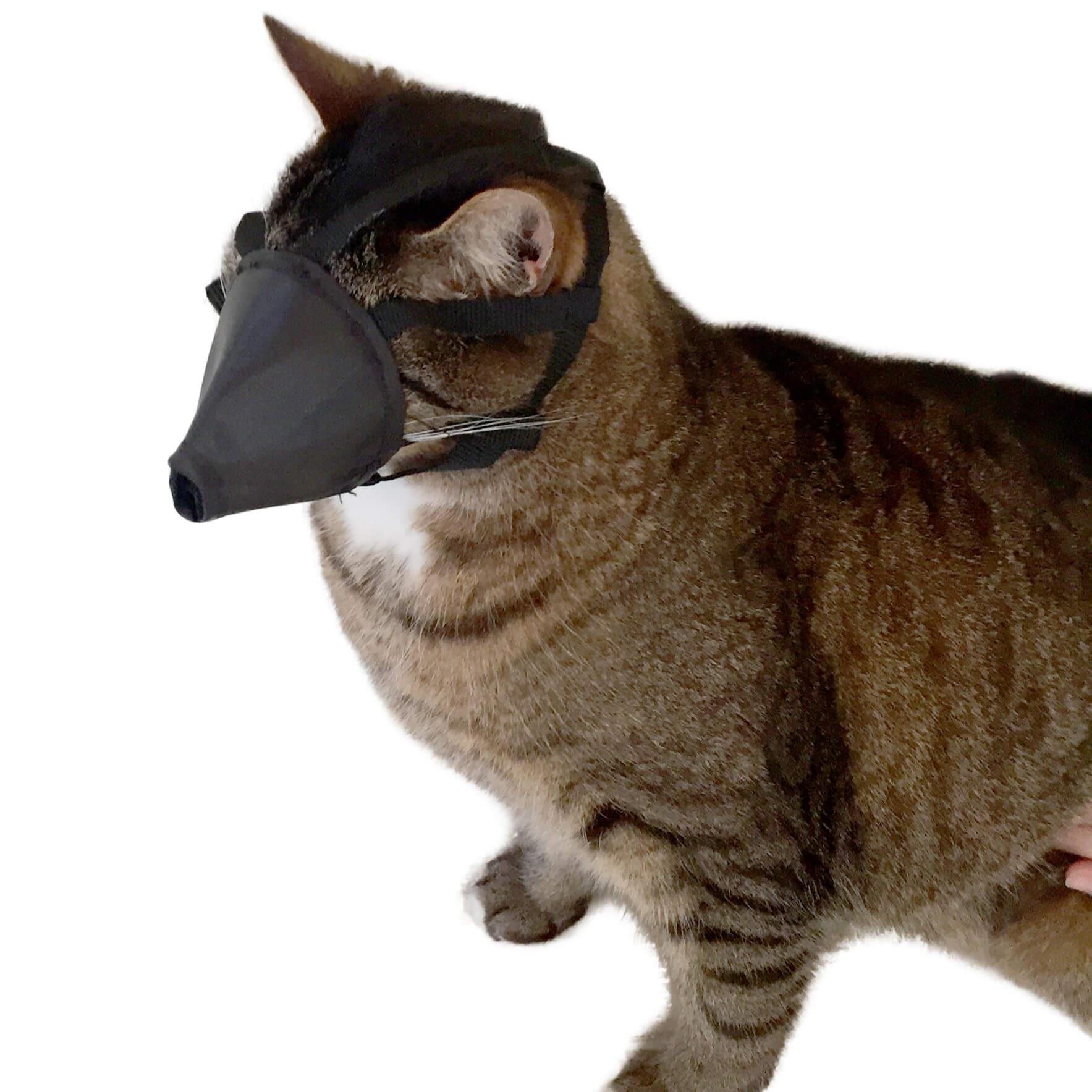 Buster Kedi Ağızlığı