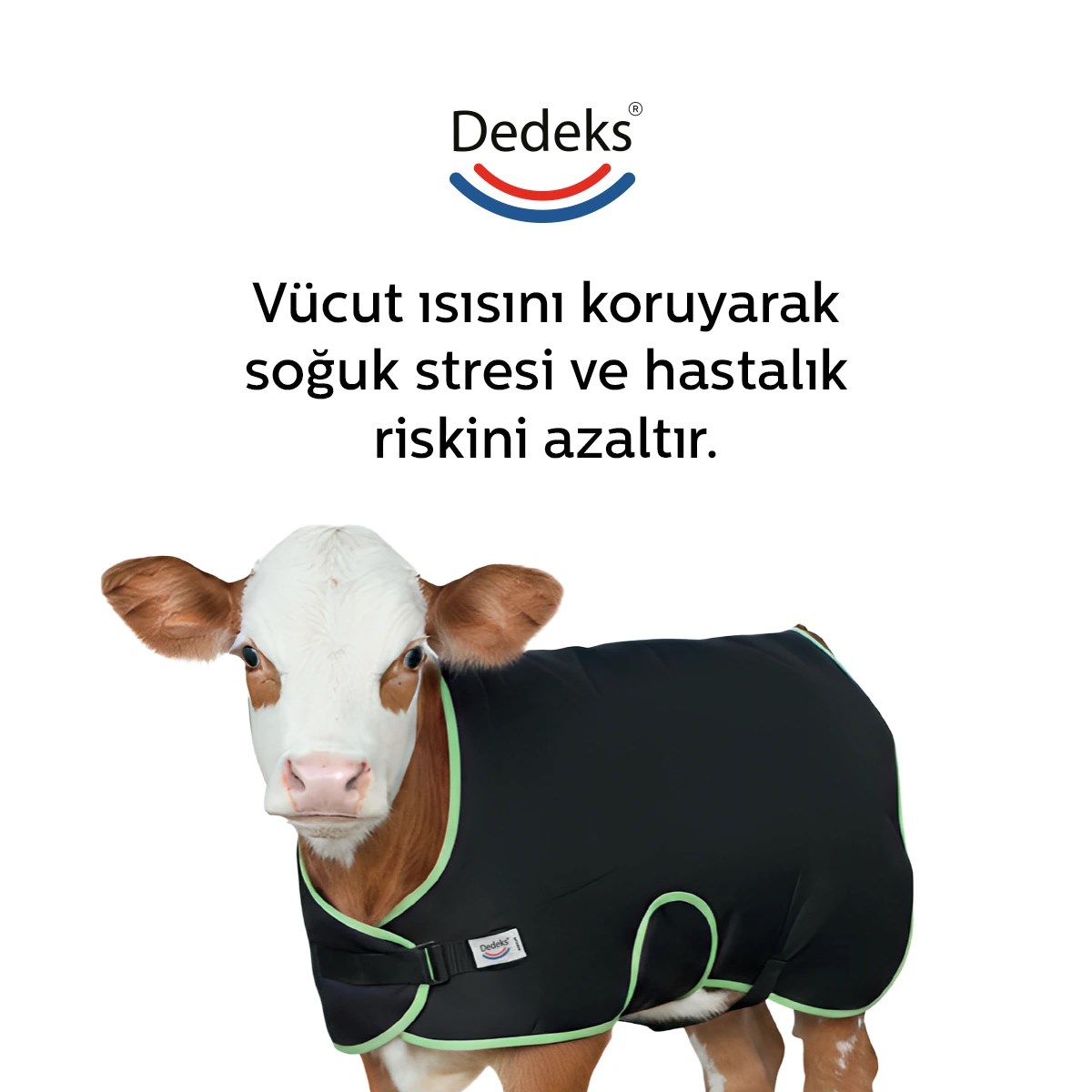 Buzağı Battaniyesi Premium - Buzağı Yeleği