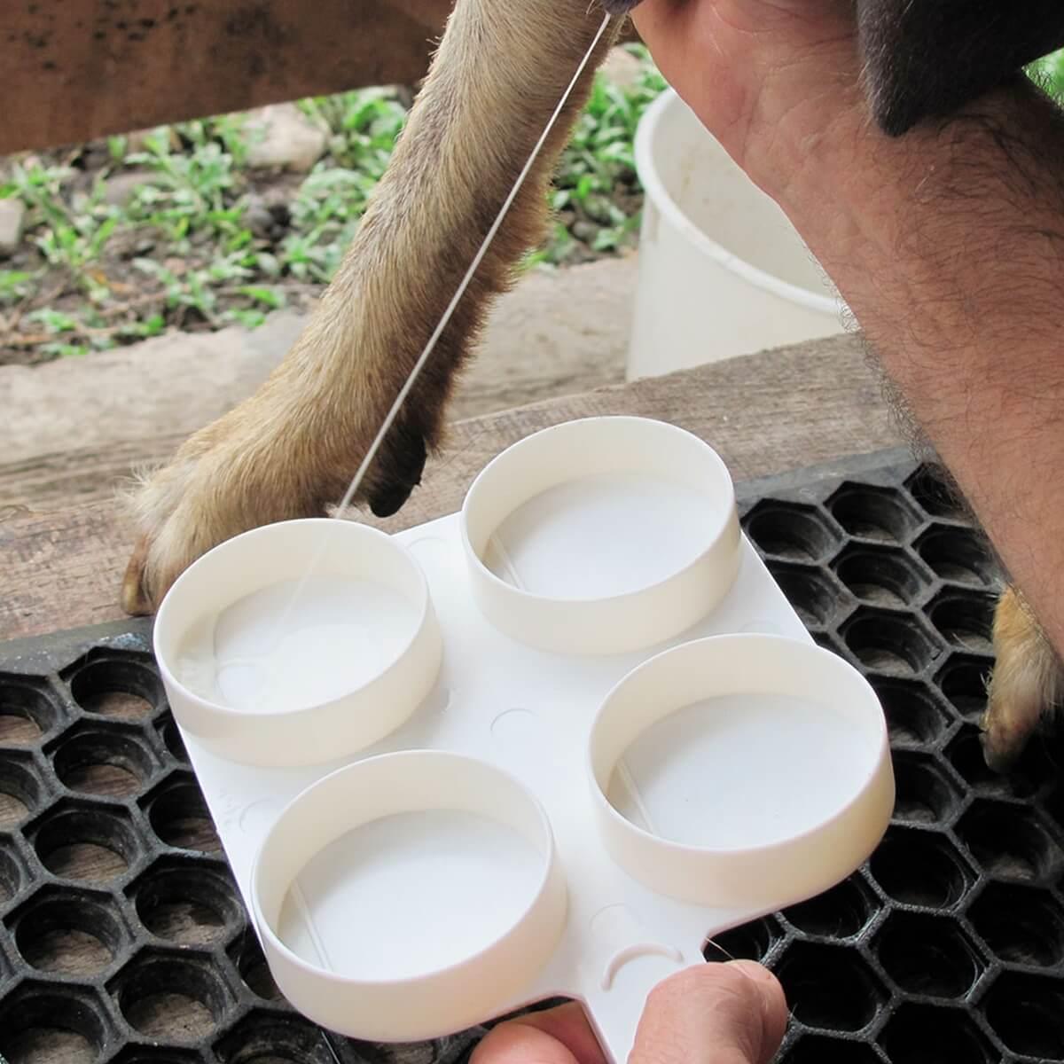 CMT Test Kabı - Mastitis Test Teşhis Diski Beyaz Renk