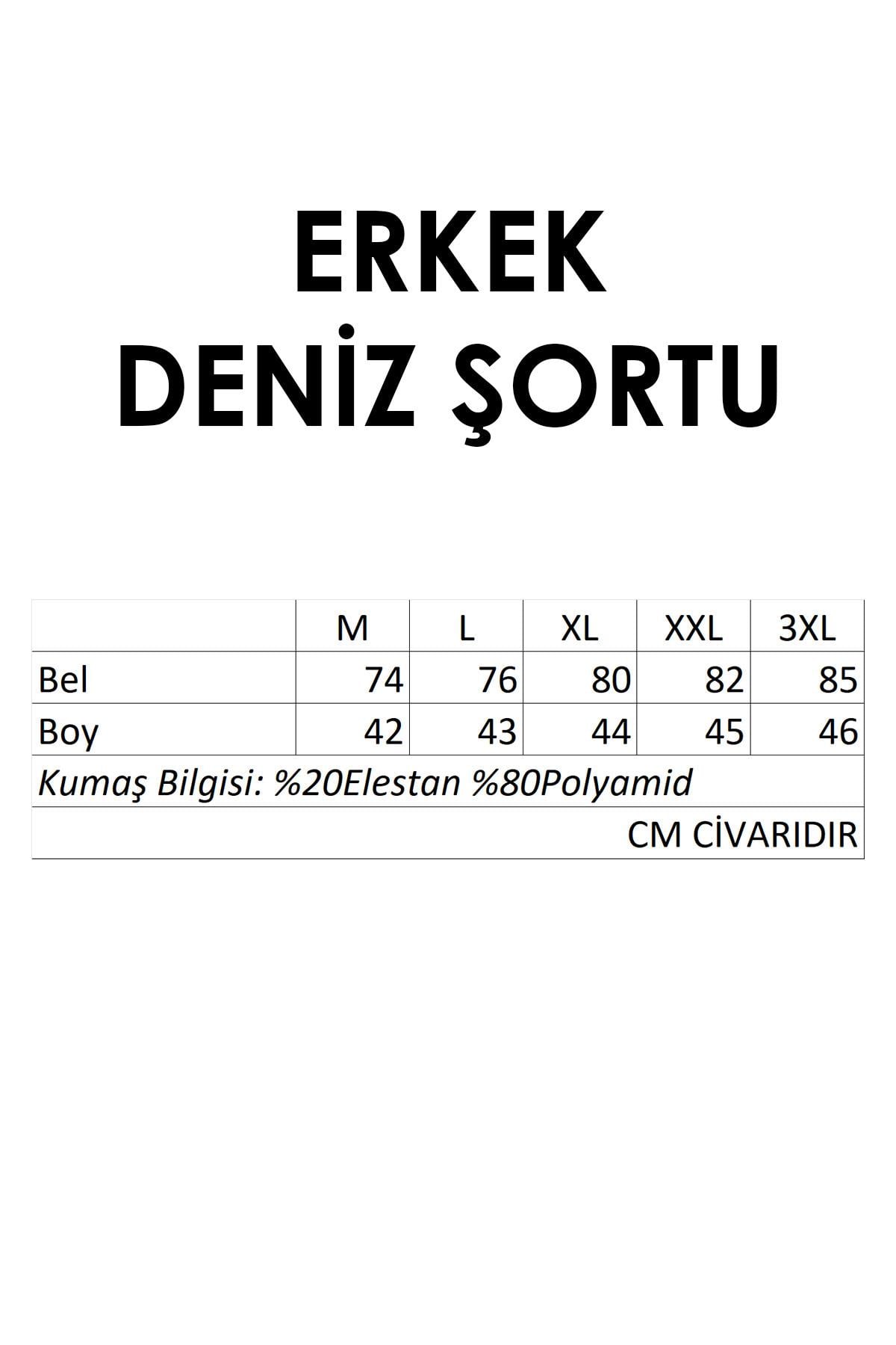 Erkek Deniz Havuz Şortu Desenli Raul S266 Mavi