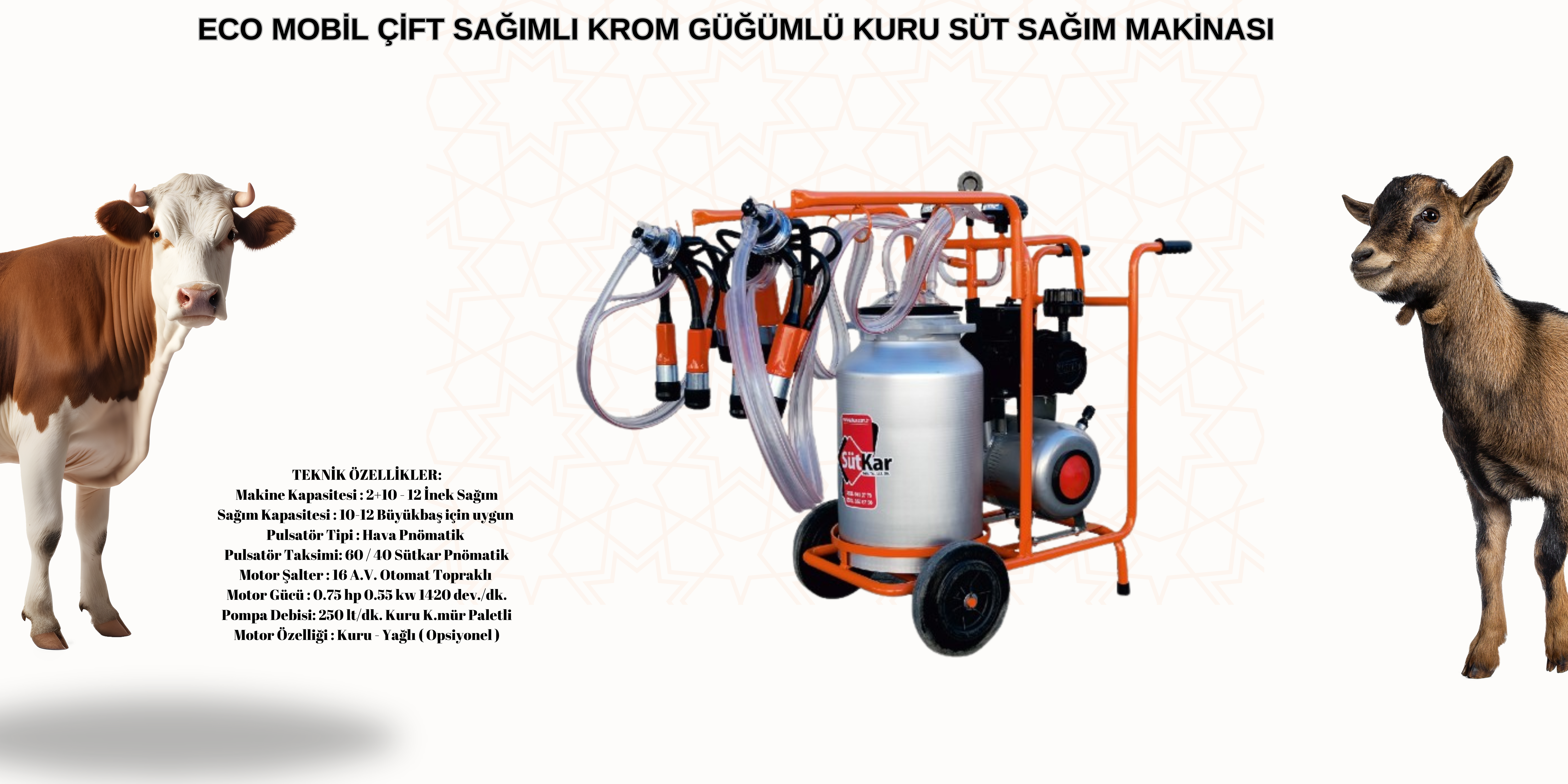 ECO MOBİL ÇİFT SAĞIMLI KROM GÜĞÜMLÜ KURU SÜT SAĞIM MAKİNASIECO MOBİL ÇİFT SAĞIMLI KROM GÜĞÜMLÜ KURU SÜT SAĞIM MAKİNASI
