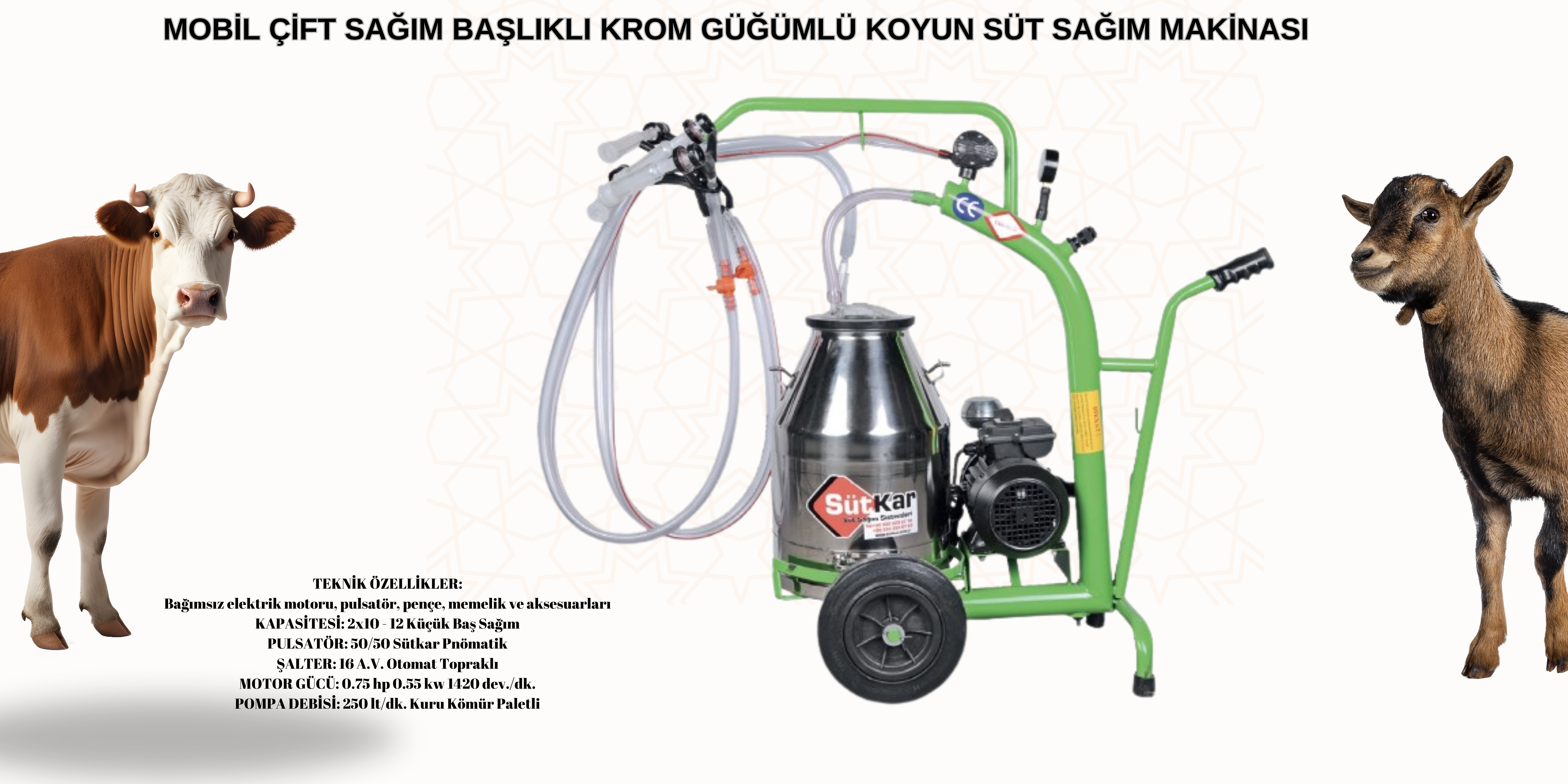 MOBİL ÇİFT SAĞIM BAŞLIKLI KROM GÜĞÜMLÜ KOYUN SÜT SAĞIM MAKİNASIMOBİL ÇİFT SAĞIM BAŞLIKLI KROM GÜĞÜMLÜ KOYUN SÜT SAĞIM MAKİNASI
