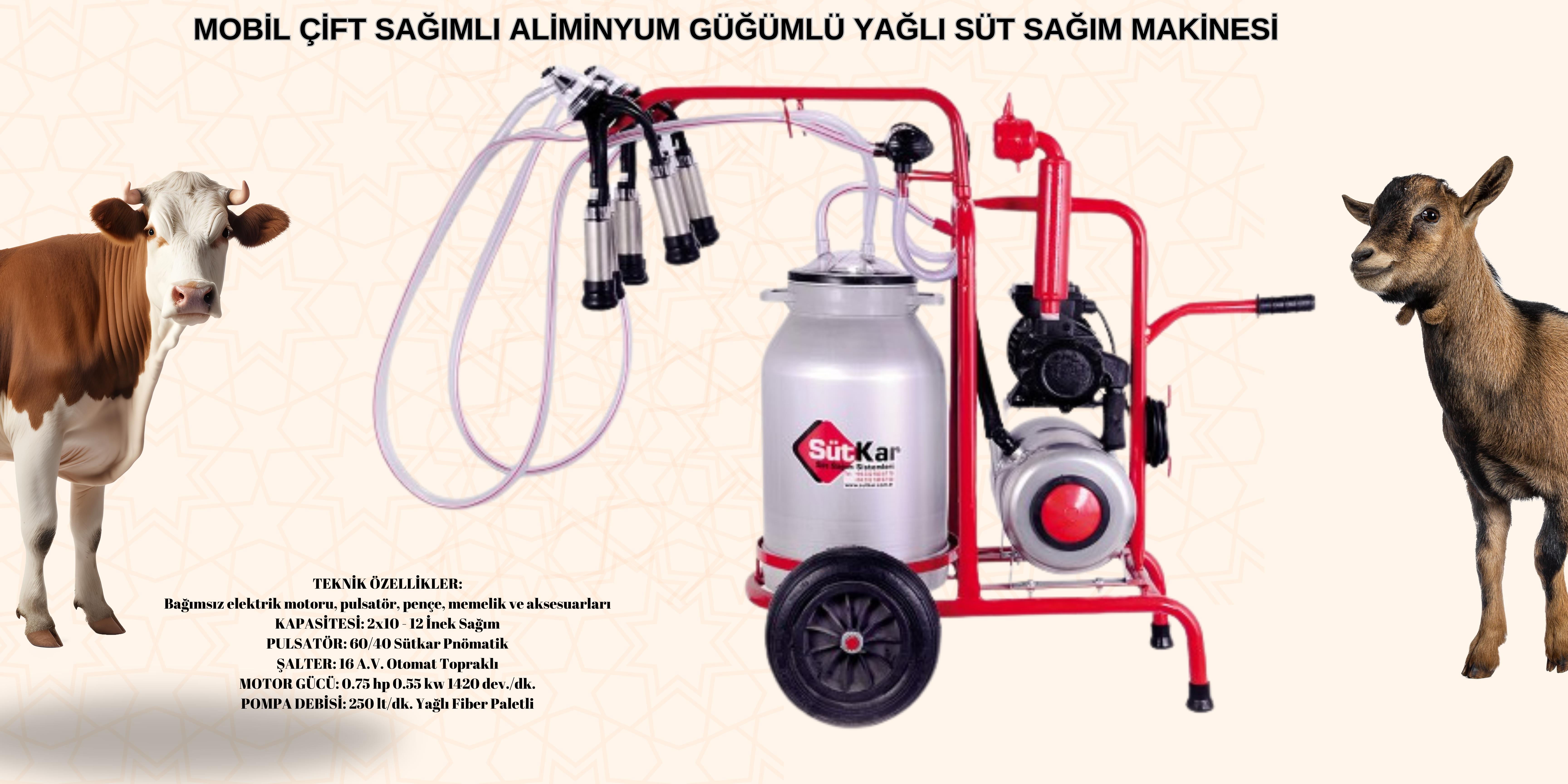MOBİL ÇİFT SAĞIMLI ALÜMİNYUM GÜĞÜMLÜ YAĞLI SÜT SAĞIM MAKİNESİMOBİL ÇİFT SAĞIMLI ALÜMİNYUM GÜĞÜMLÜ YAĞLI SÜT SAĞIM MAKİNESİ