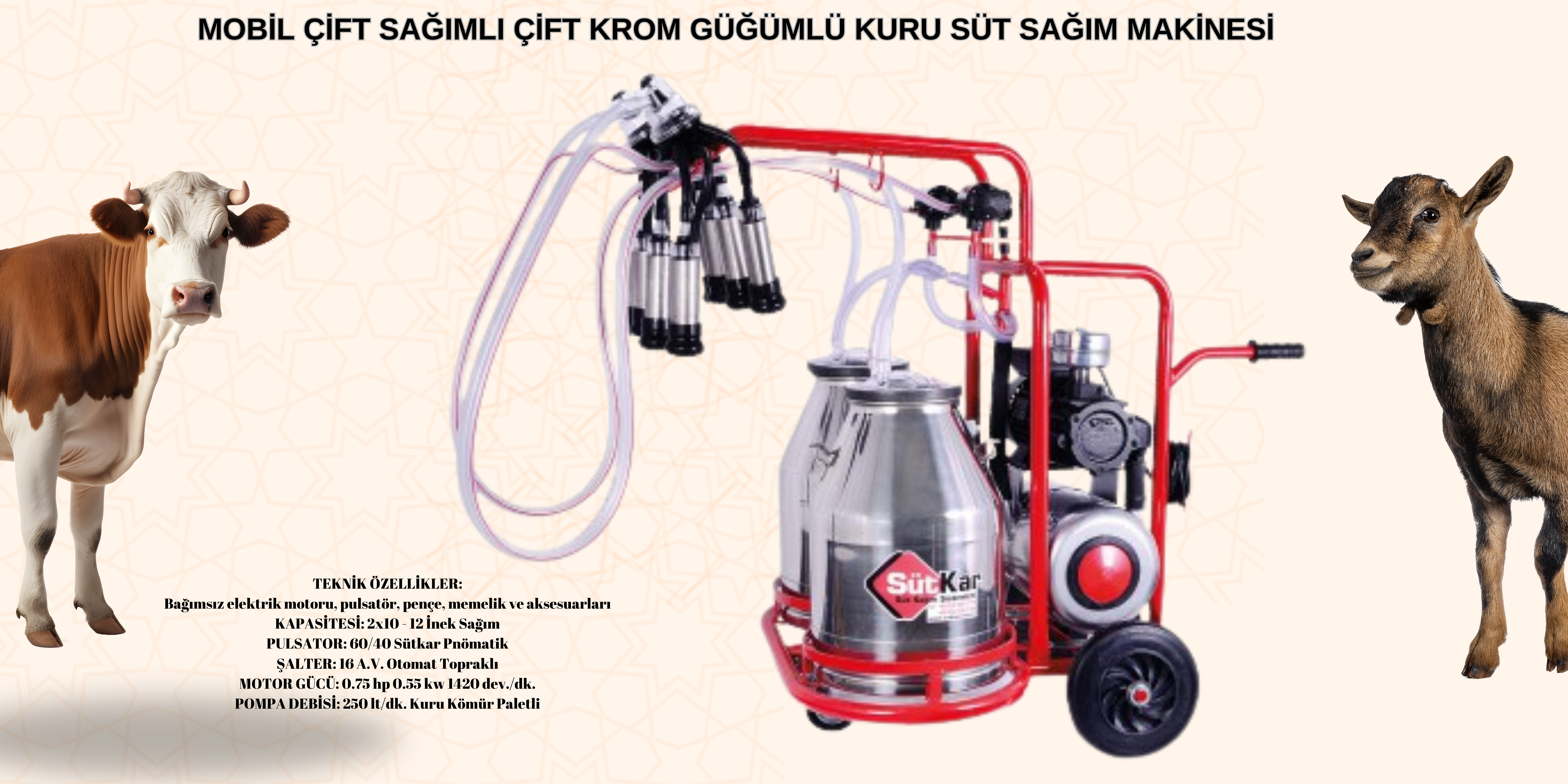 MOBİL ÇİFT SAĞIMLI ÇİFT KROM GÜĞÜMLÜ KURU SÜT SAĞIM MAKİNASIMOBİL ÇİFT SAĞIMLI ÇİFT KROM GÜĞÜMLÜ KURU SÜT SAĞIM MAKİNASI