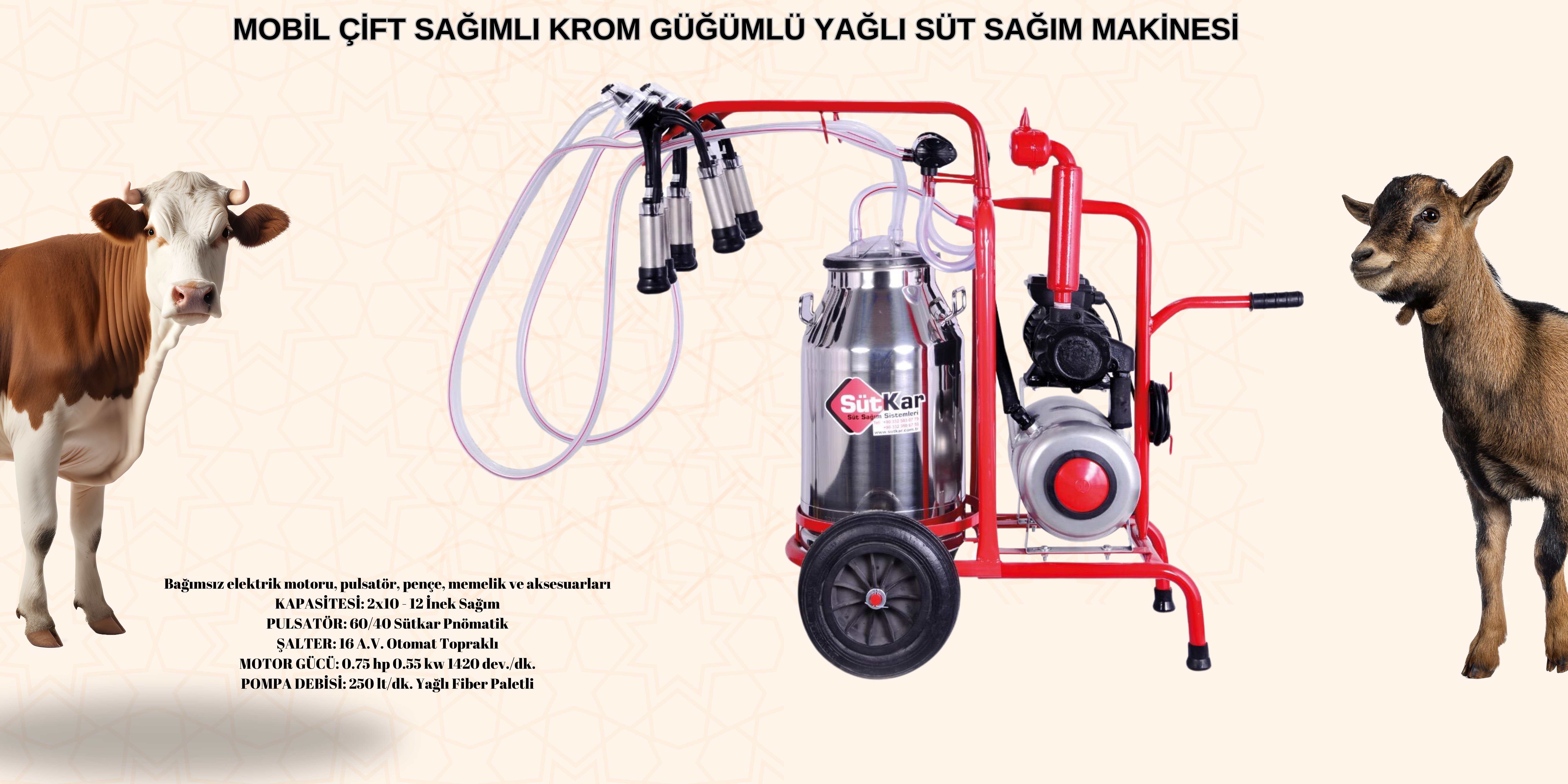 MOBİL ÇİFT SAĞIMLI KROM GÜĞÜMLÜ YAĞLI SÜT SAĞIM MAKİNESİMOBİL ÇİFT SAĞIMLI KROM GÜĞÜMLÜ YAĞLI SÜT SAĞIM MAKİNESİ