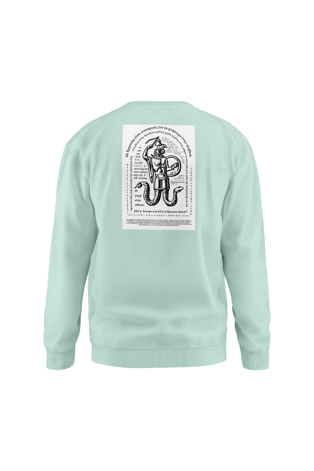 Erkek Reincarnation Oversize mİNT Sweatshirt