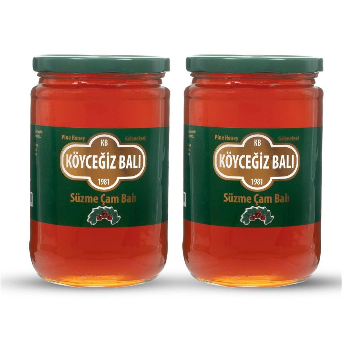 Köyceğiz Balı Çam Balı 850 G Cam Kavanoz 2 Adet