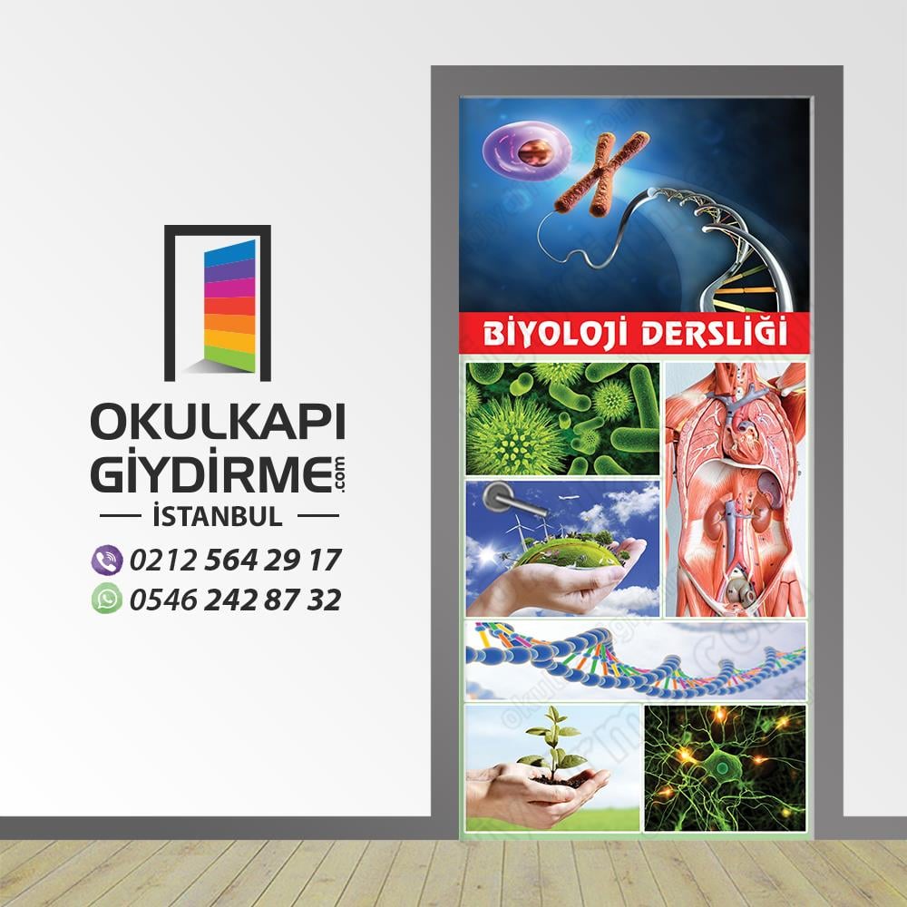 Kapı Giydirme Biyoloji Dersliği KG BİY 14