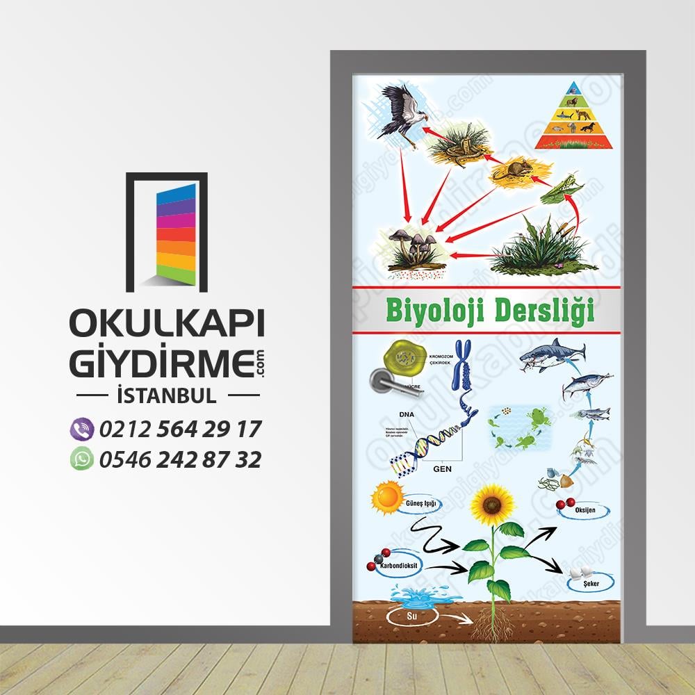 Kapı Giydirme Biyoloji KG BİY 24