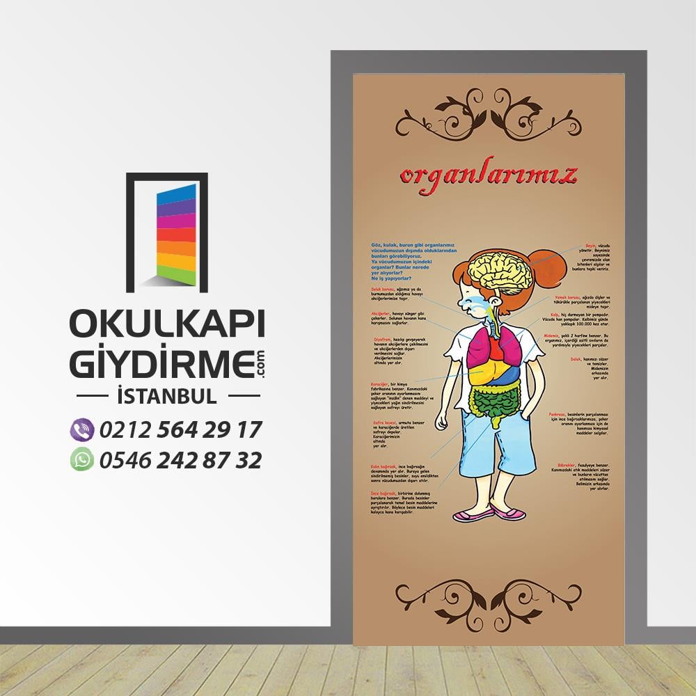 Kapı Giydirme Organlarımız KG BIY 03