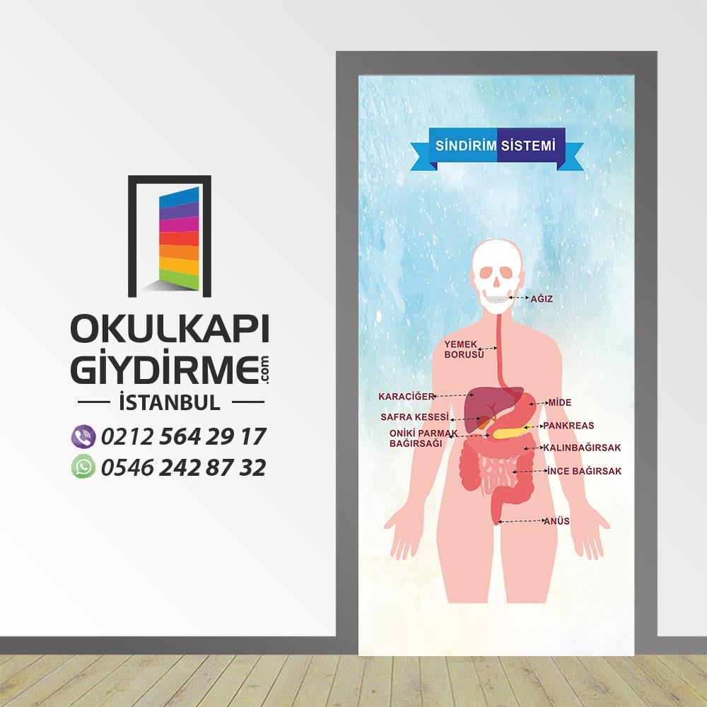 Kapı Giydirme Sindirim Sstemi KG BIY 04