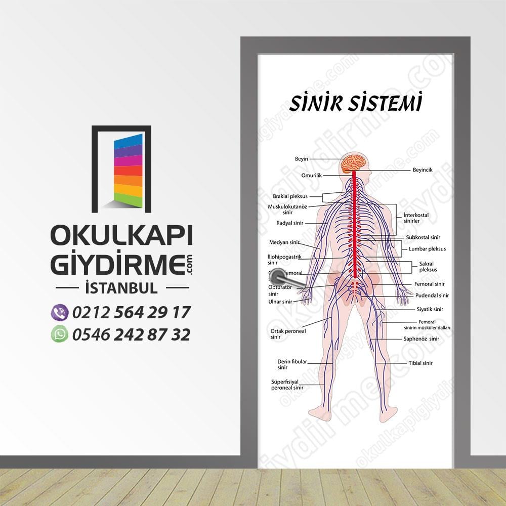 Kapı Giydirme Sinir Sistemi KG S 06