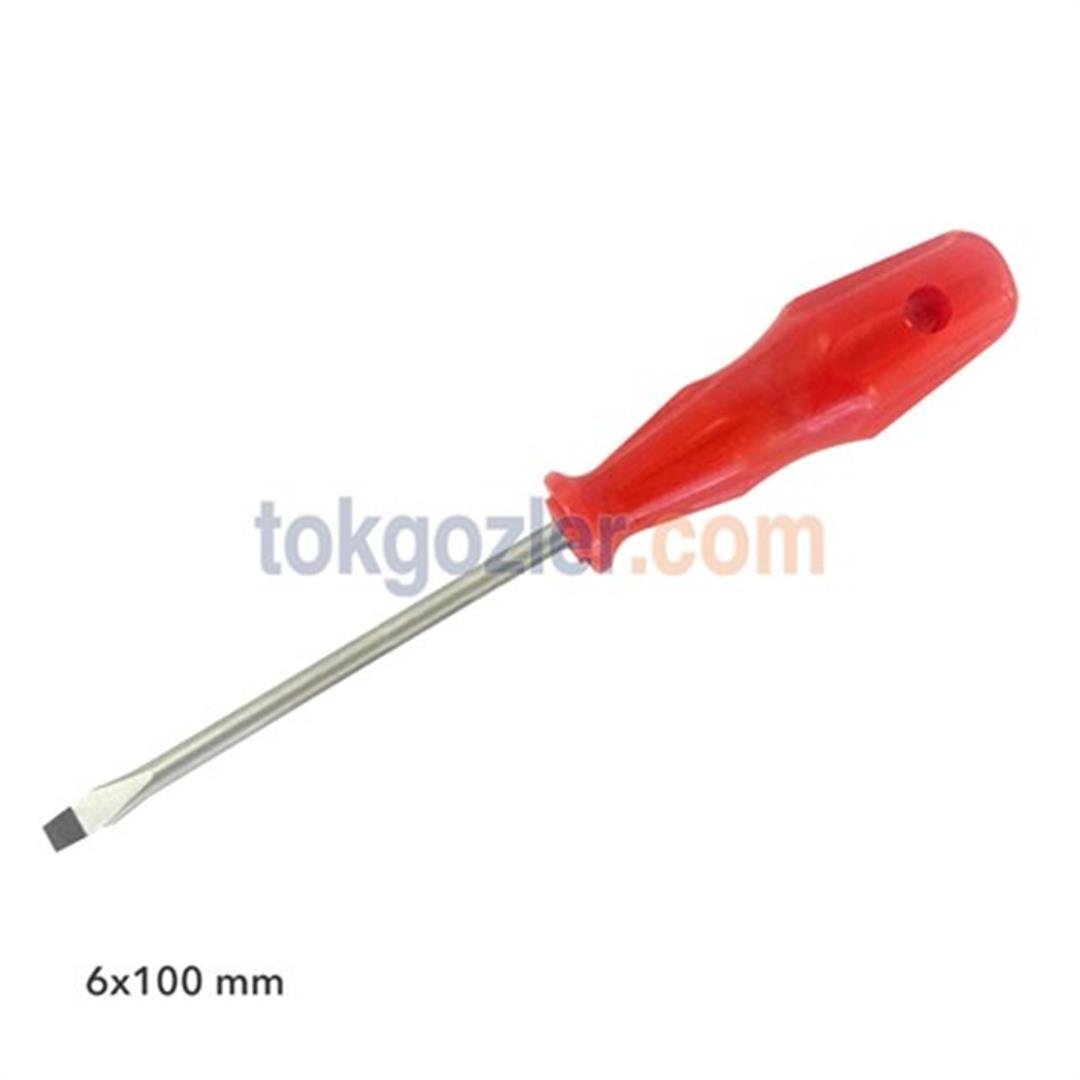 Pro-Scr 02625 Düz Uçlu Tornavida 6x100 mm