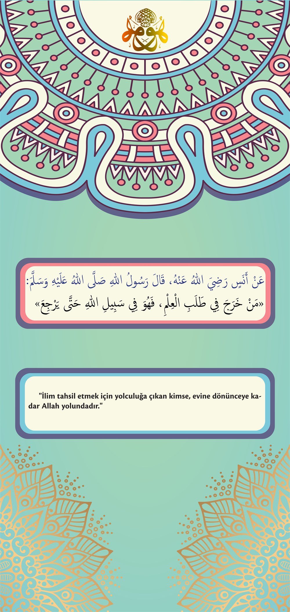 İmam Hatip 42 Kapı Giydirme