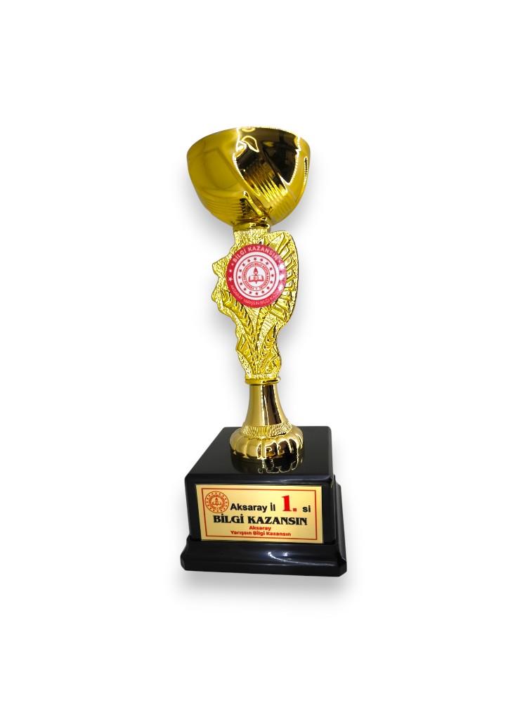 Okulekspres Kişileştirilebilir Öğrenciye Özel Ödül Kupası Başarı Kupası Kupa Madalya Gold Renk  30 cm Başarıyı Taçlandıran Hatıra  Öğrencilere Özel Motivasyon Armağanı Kişisel Tasarımlı Kupa Madalya – Eğitim Hayatının En Güzel Hatırası