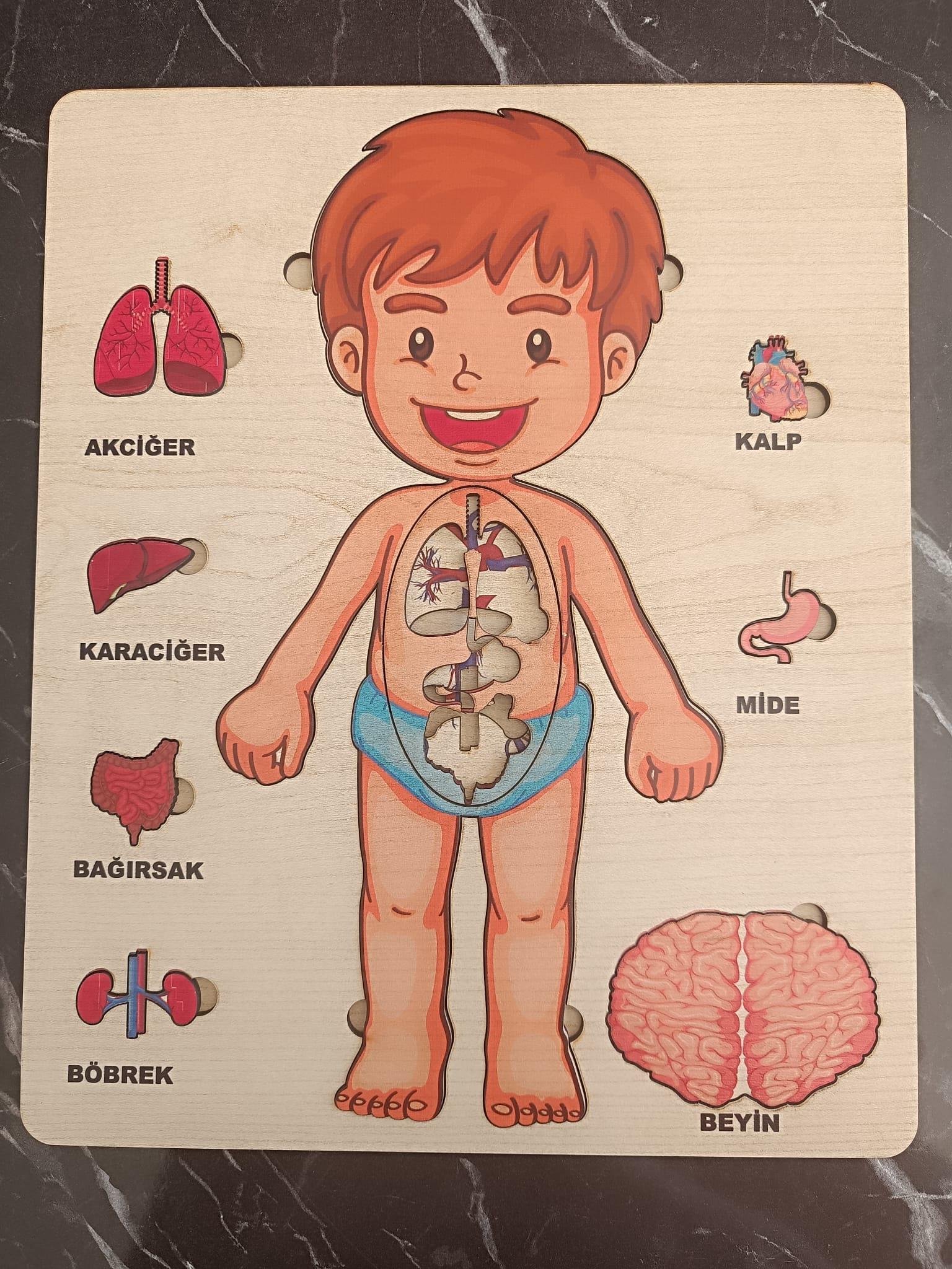 Ahşap Zeka Oyunu Eğitici Çocuk Oyunu 