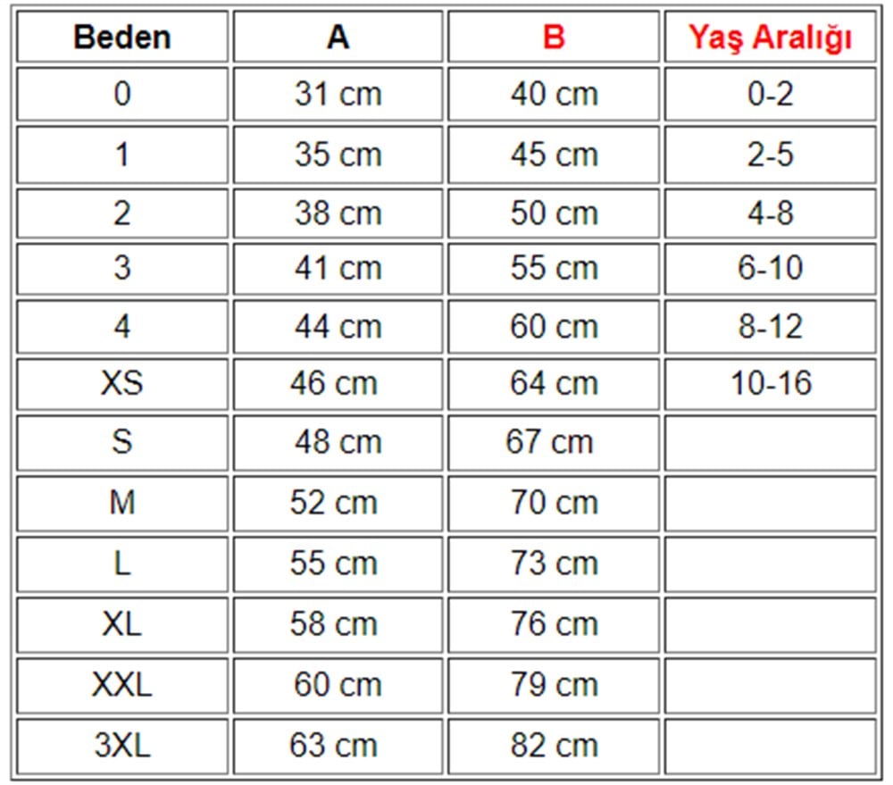 23 Nisan Baskılı Tişört