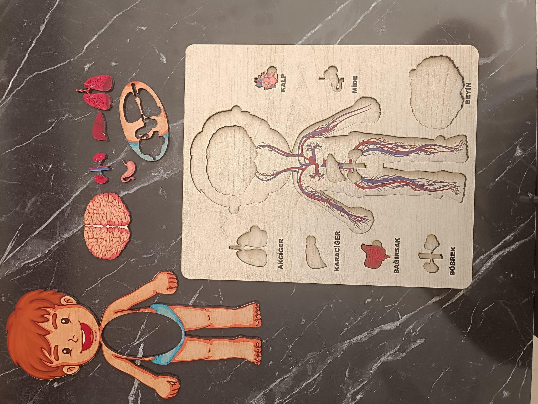 Ahşap Zeka Oyunu Eğitici Çocuk Oyunu 