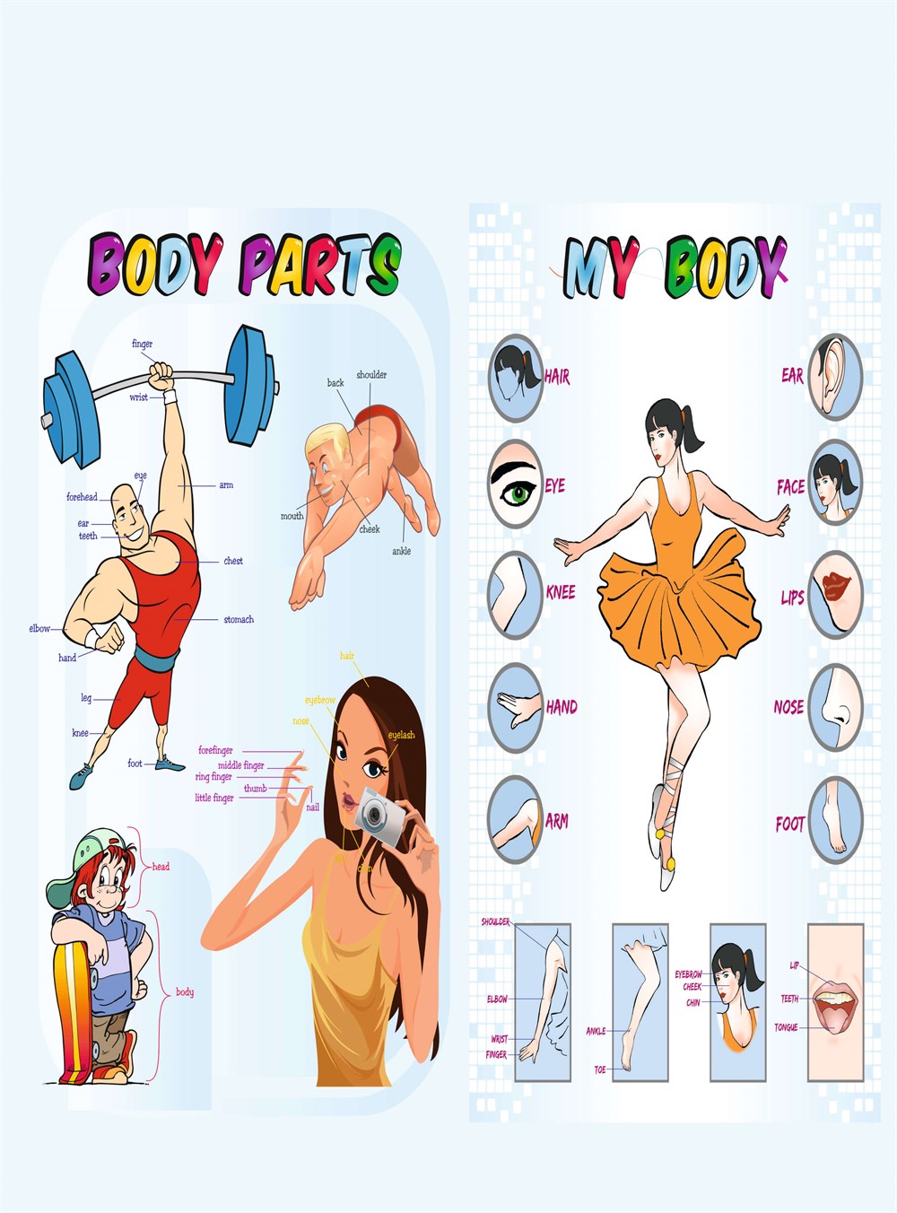 Body Parts - My Body İngilizce Poster Afiş