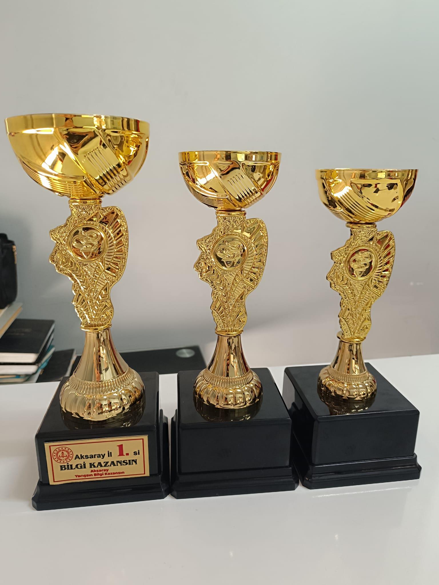 Okulekspres Kişileştirilebilir Öğrenciye Özel Ödül Kupası Başarı Kupası Kupa Madalya Gold Renk  30 cm Başarıyı Taçlandıran Hatıra  Öğrencilere Özel Motivasyon Armağanı Kişisel Tasarımlı Kupa Madalya – Eğitim Hayatının En Güzel Hatırası