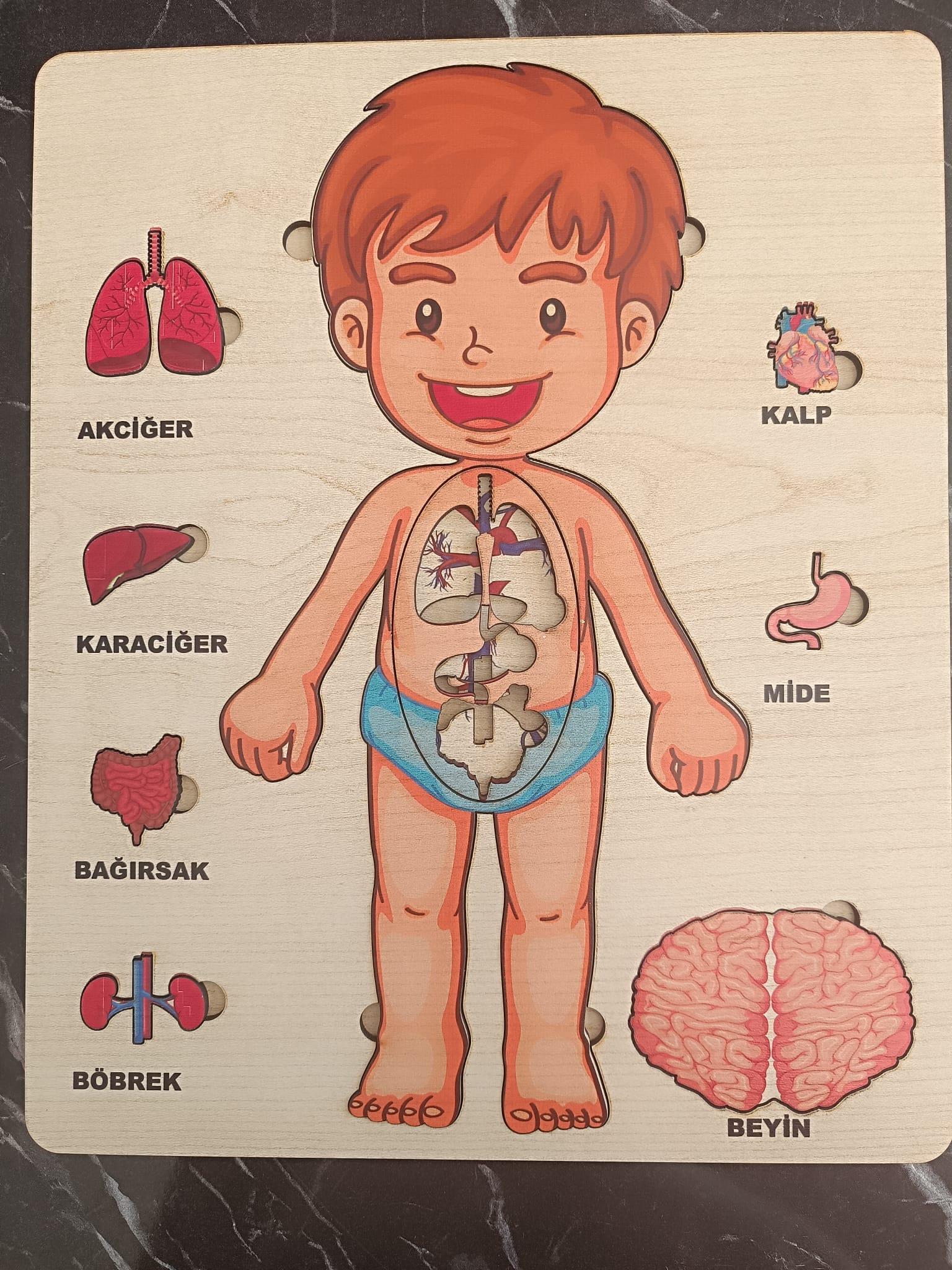 Ahşap Zeka Oyunu Eğitici Çocuk Oyunu 