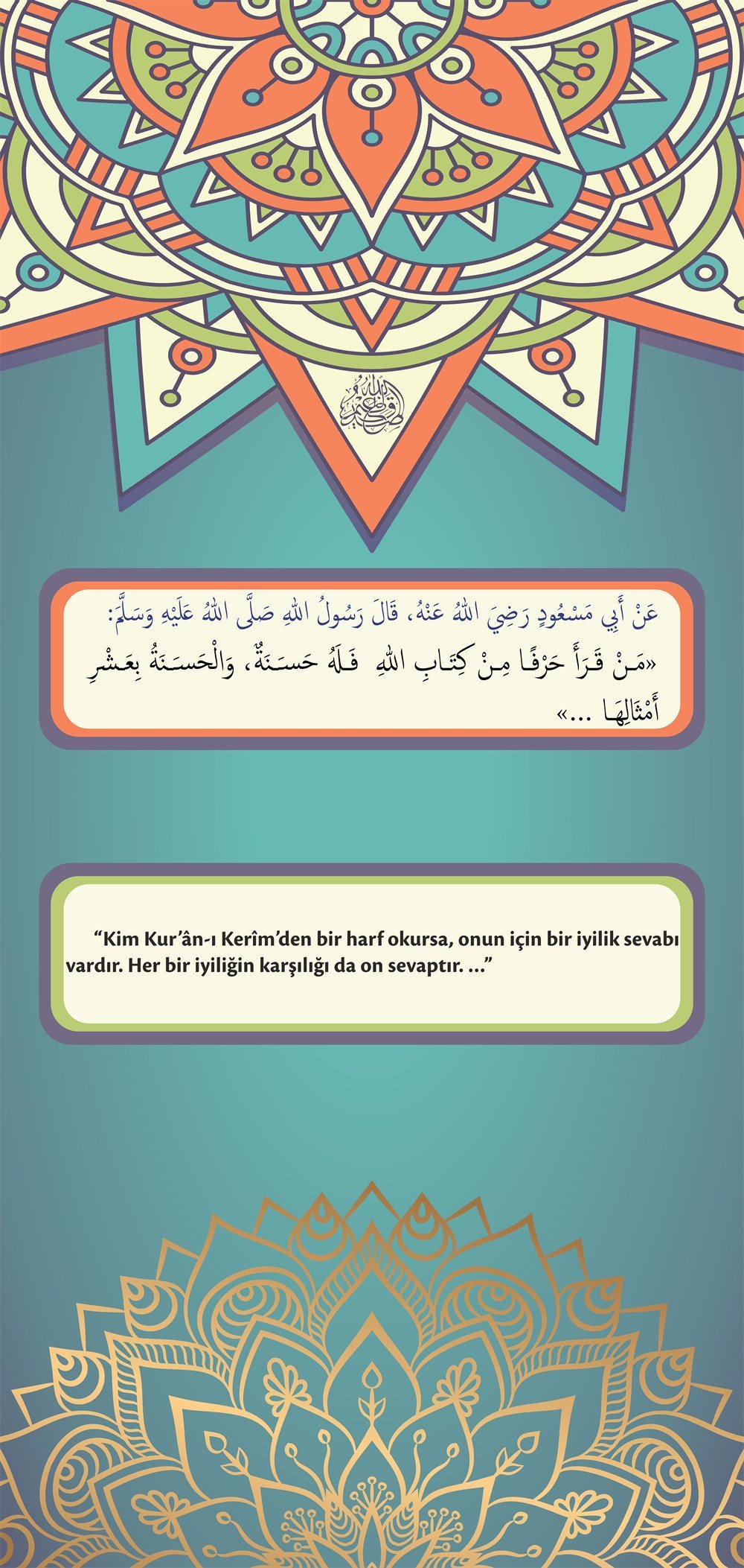 İmam Hatip 44 Kapı Giydirme