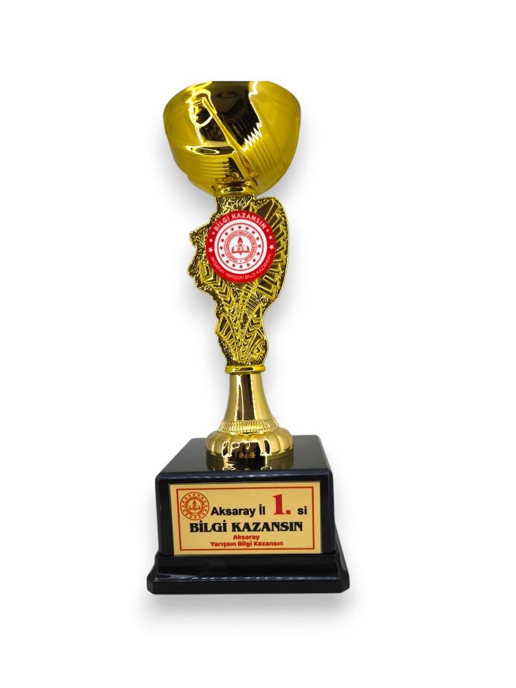 Okulekspres Kişileştirilebilir Öğrenciye Özel Ödül Kupası Başarı Kupası Kupa Madalya Gold Renk  30 cm Başarıyı Taçlandıran Hatıra  Öğrencilere Özel Motivasyon Armağanı Kişisel Tasarımlı Kupa Madalya – Eğitim Hayatının En Güzel Hatırası