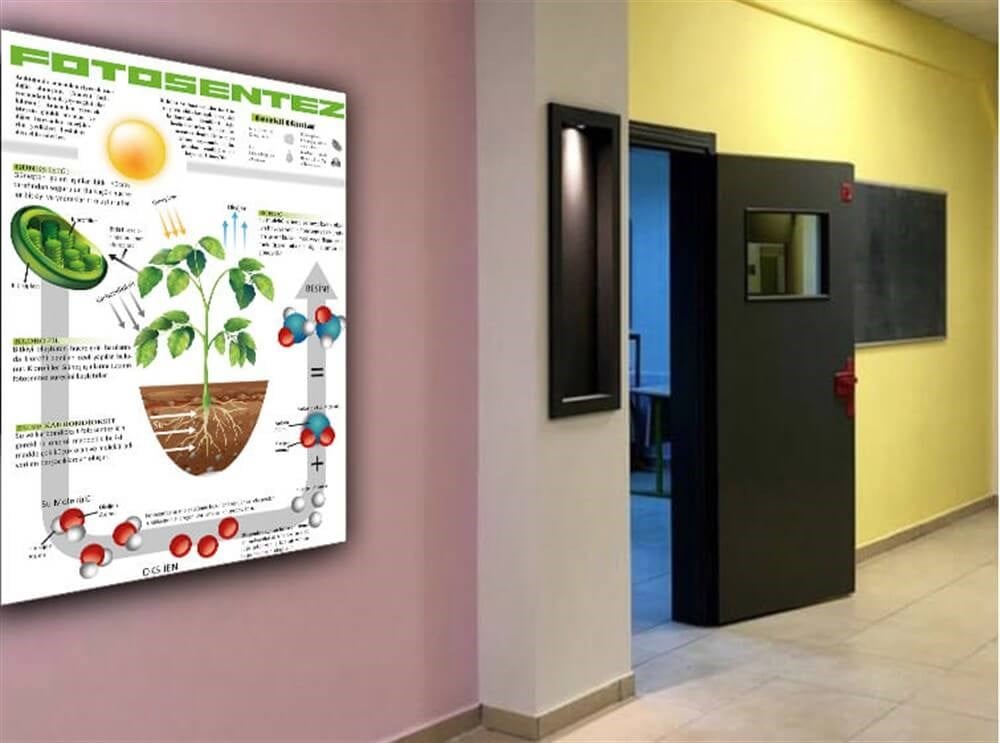 Fotosentez Poster Fen Bilimleri Sokağı