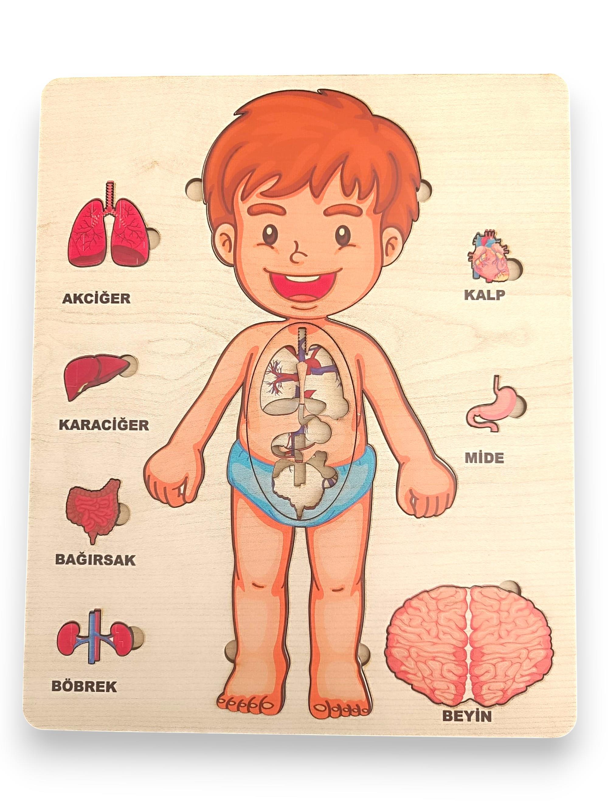 Ahşap Zeka Oyunu Eğitici Çocuk Oyunu 