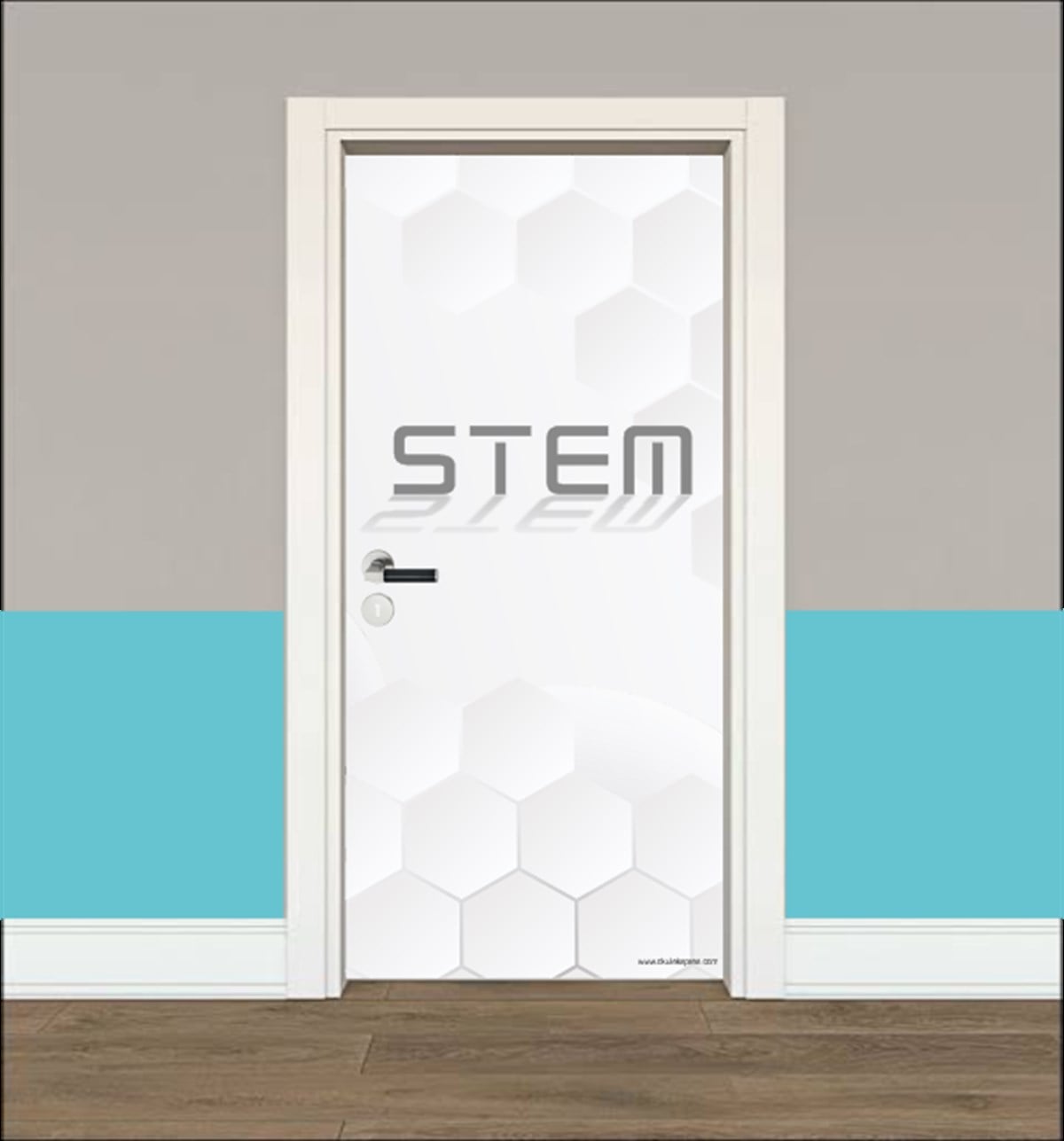 Stem 1 Kapı Giydirme