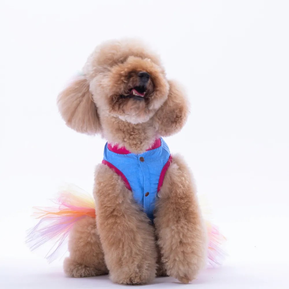 PawStar 25304 Açık Mavi Ice Cream Elbise