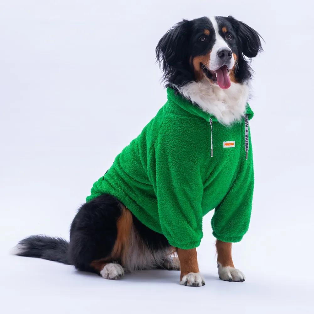 PawStar 25755 Yeşil Oslo Chill Büyük Irk Sweat