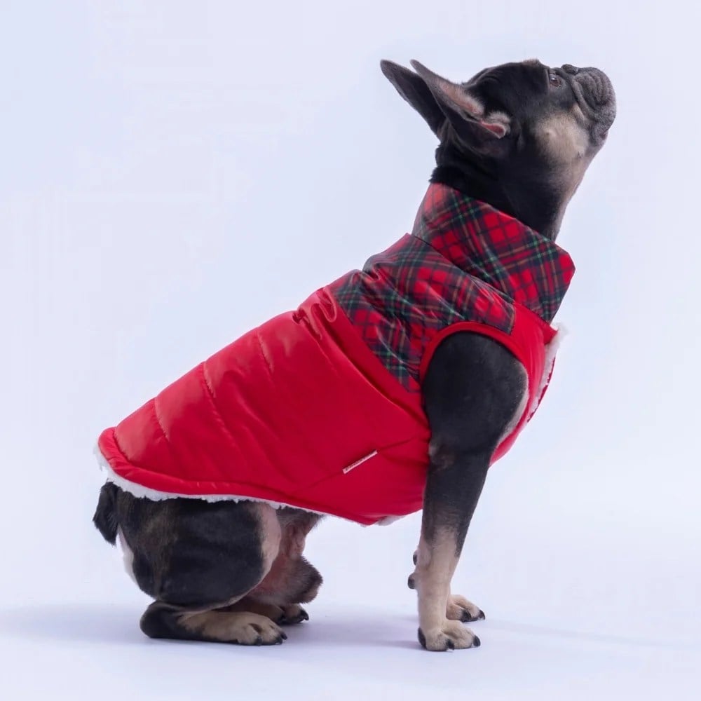 PawStar 26107 Kırmızı Plaid Yelek Küçük ve Orta Irk