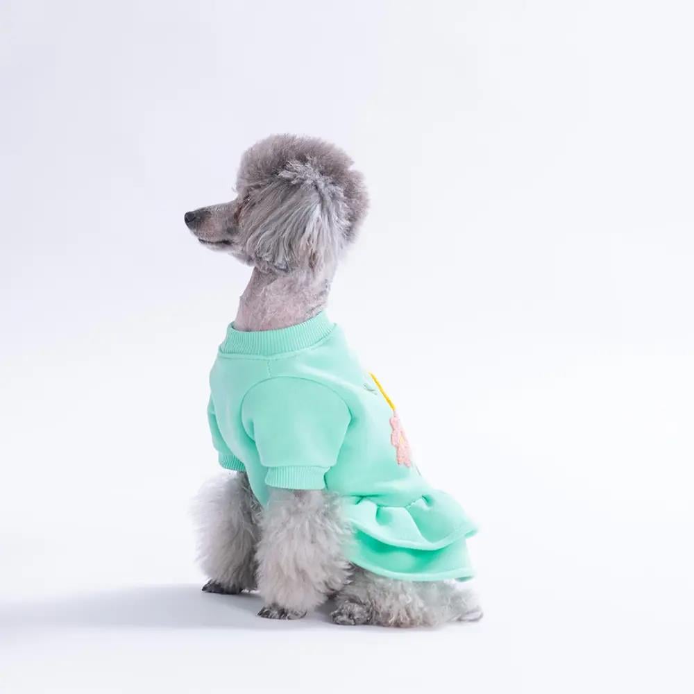 PawStar 26301-Mint Arosa Nivalis Elbise