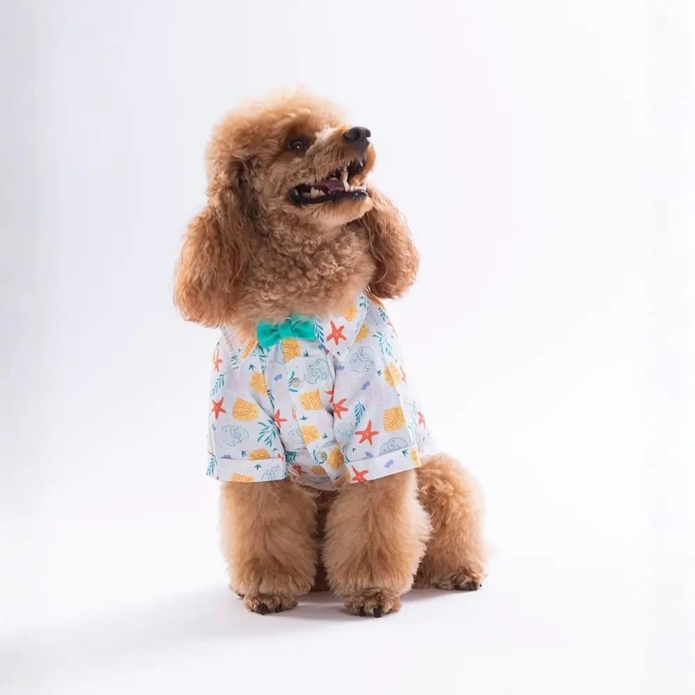 PawStar 26402 Aqua Reverie Desenli Gömlek