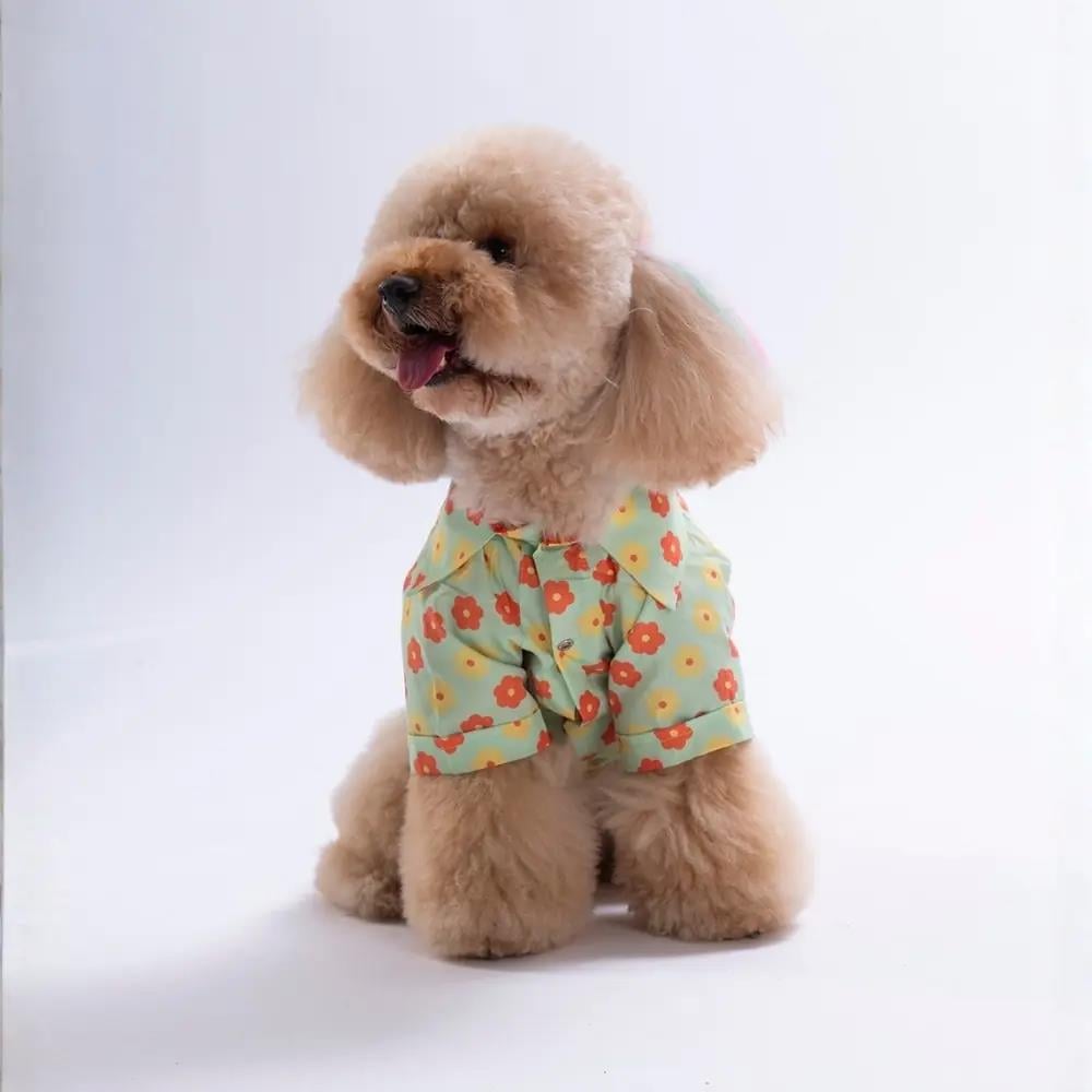 PawStar 26405 Florelle Desenli Gömlek