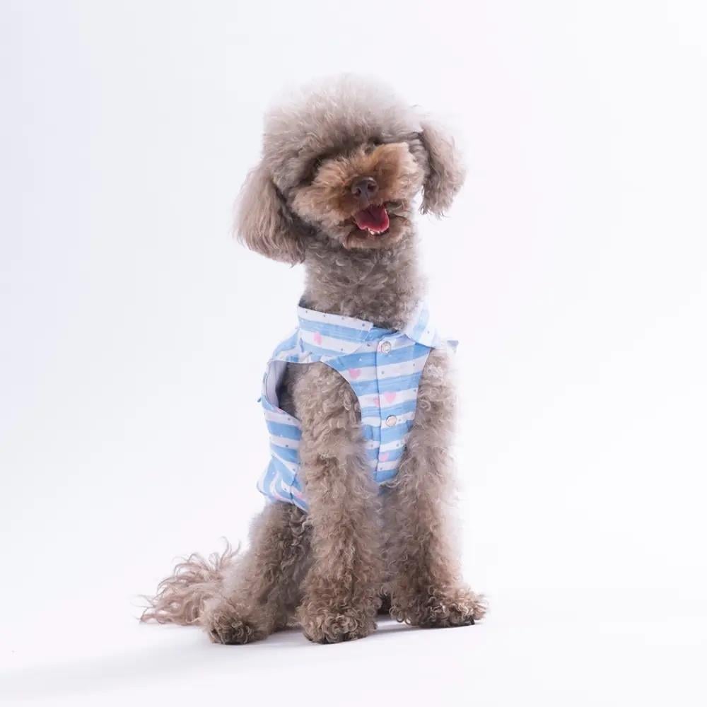 PawStar 26406 Ocean Love Desenli Gömlek