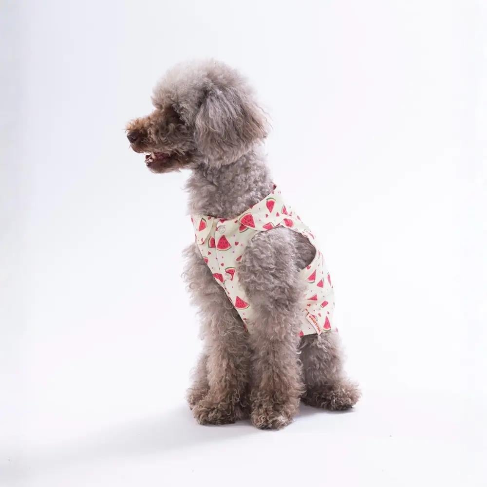 PawStar 26407 Berry Crush Desenli Gömlek