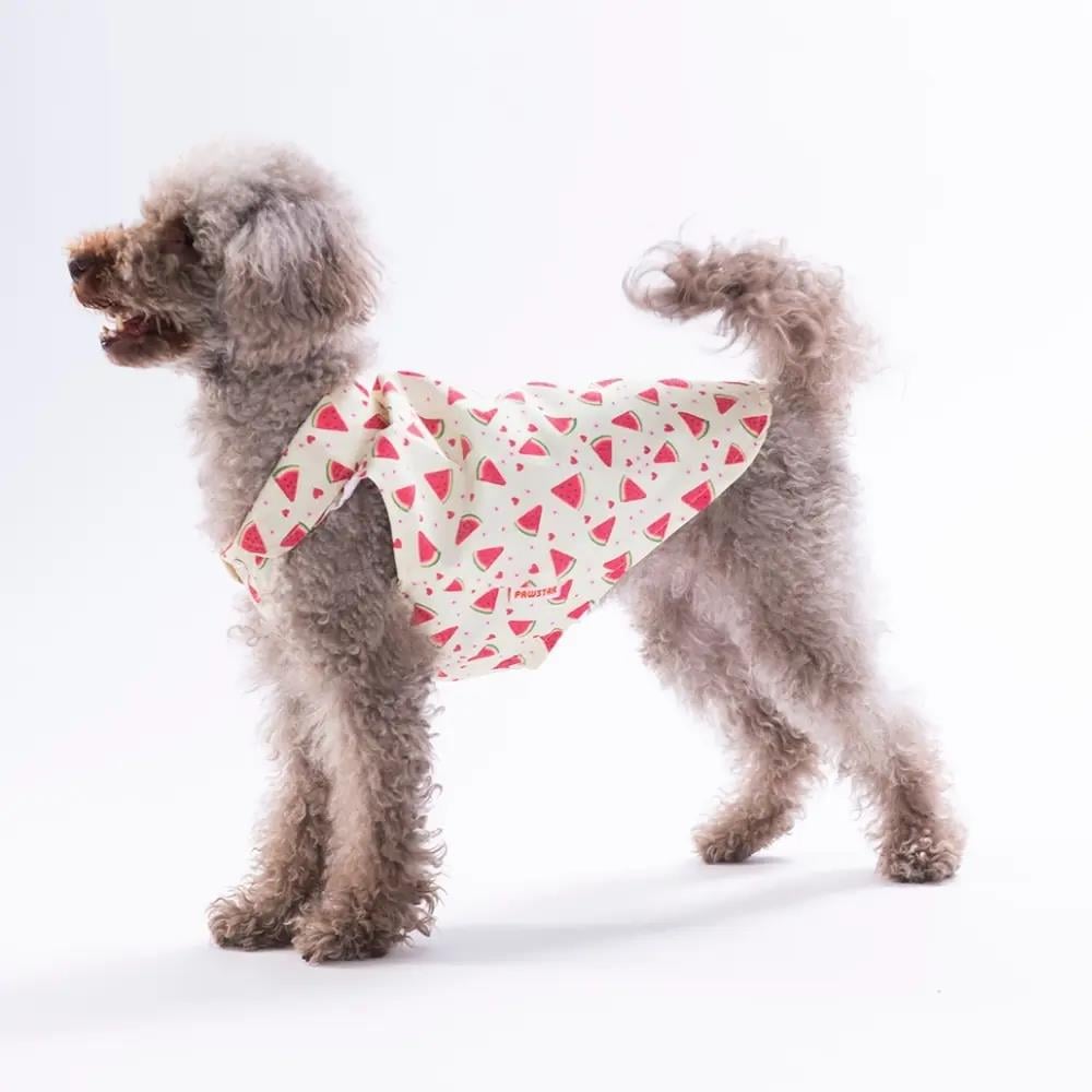 PawStar 26407 Berry Crush Desenli Gömlek